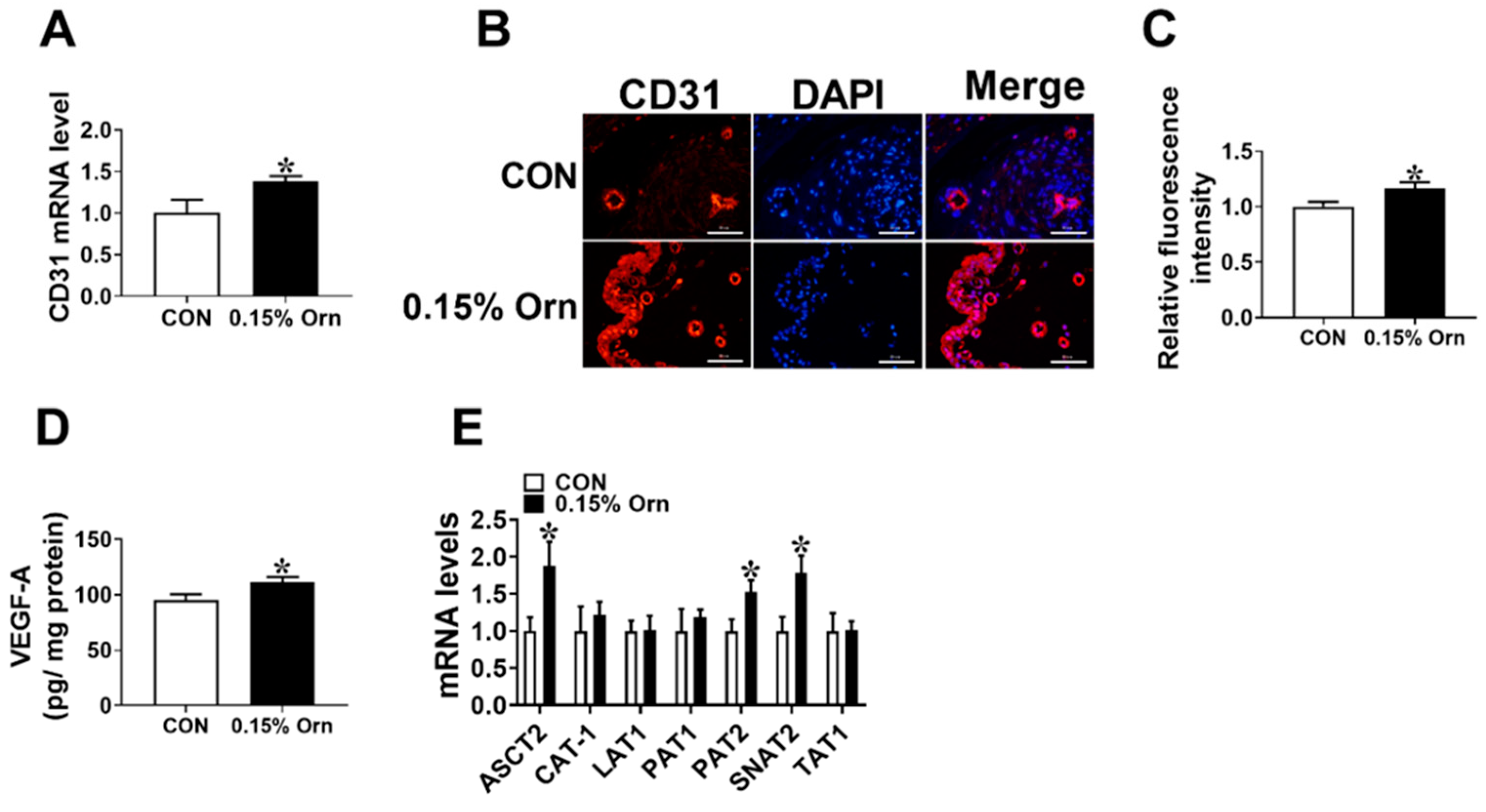 Animals 14 00689 g003