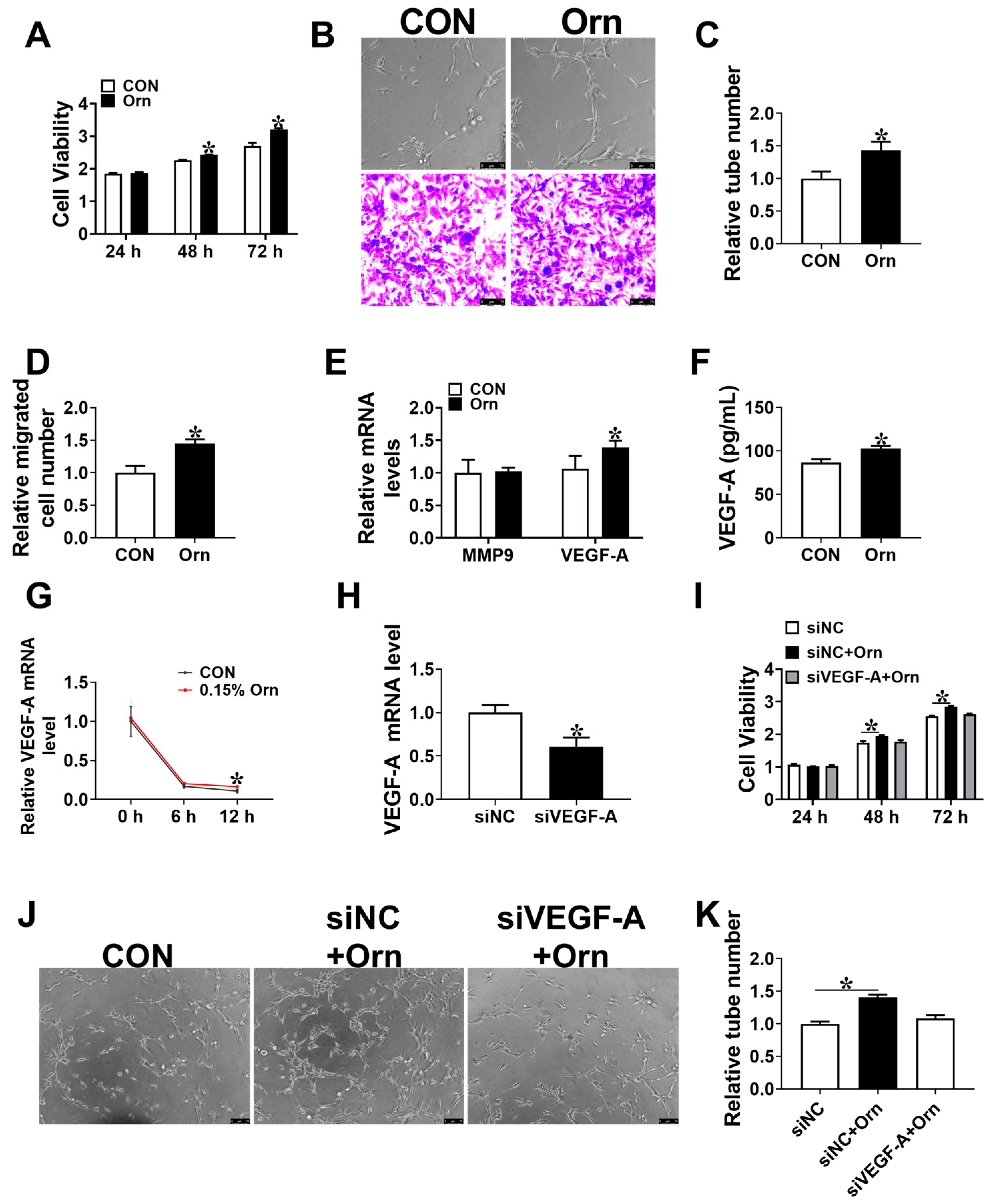 Animals 14 00689 g004