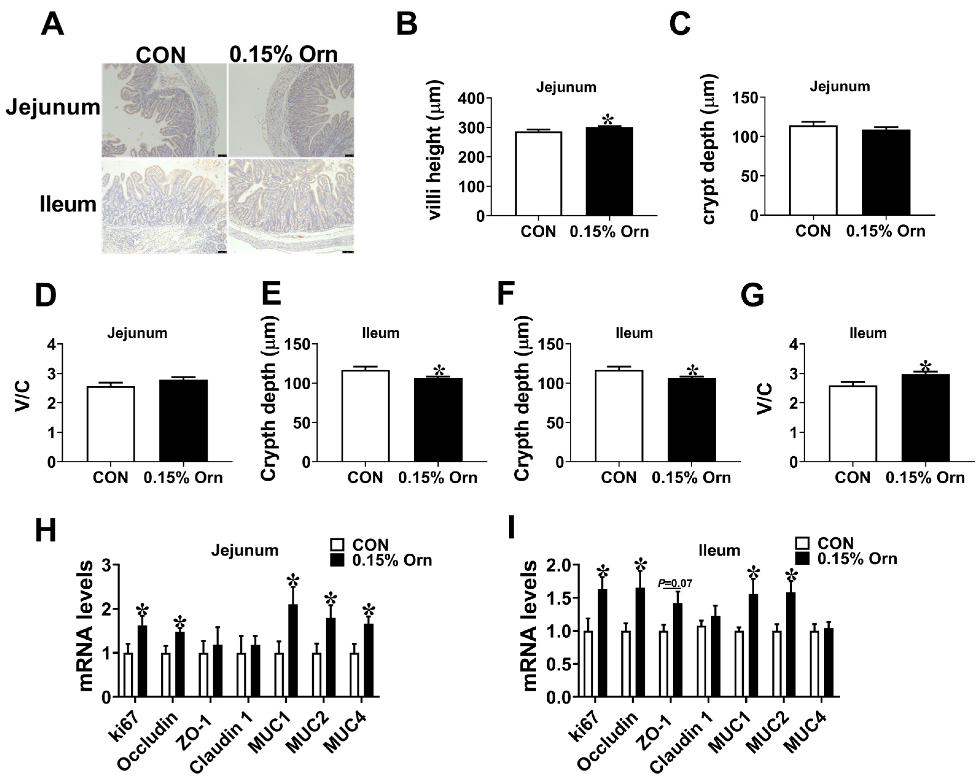 Animals 14 00689 g005