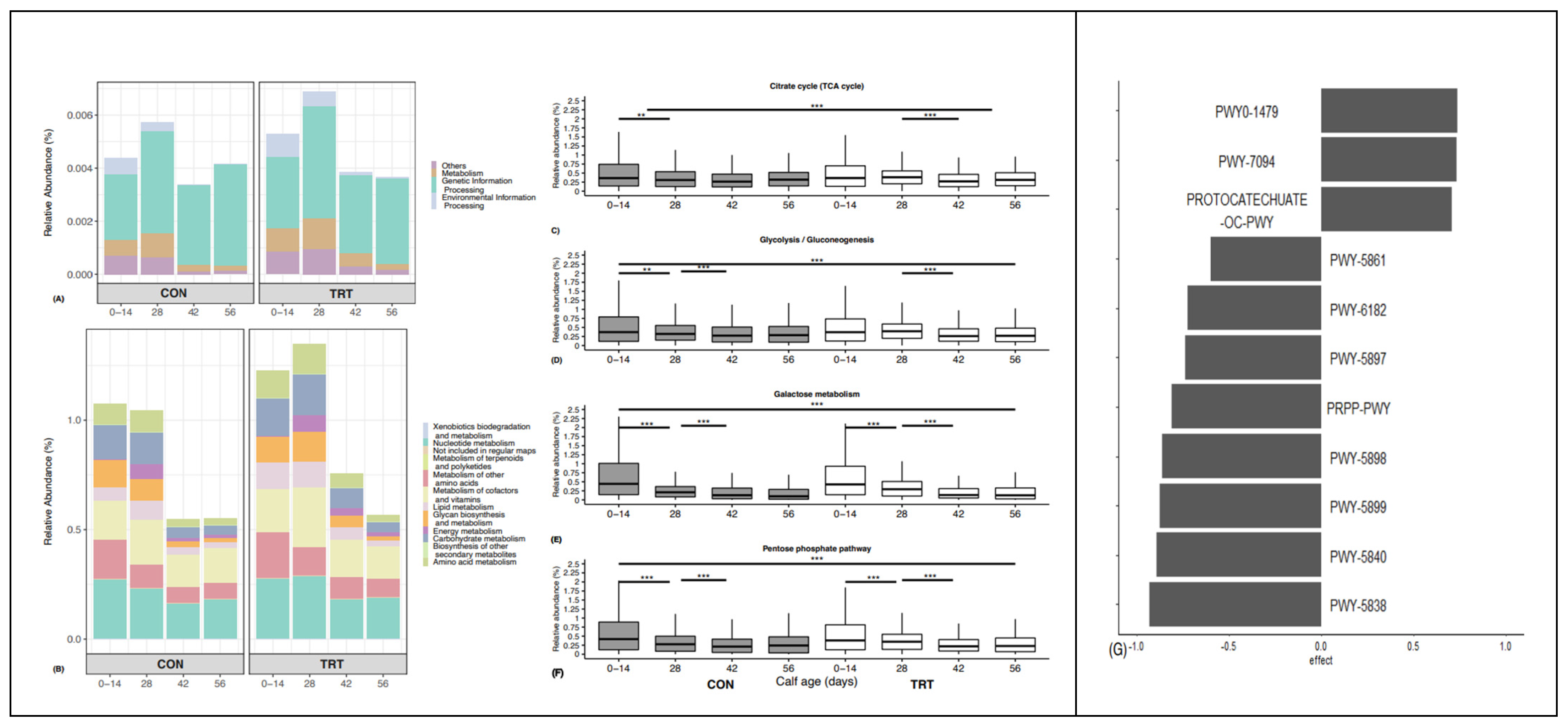 Animals 14 00693 g006