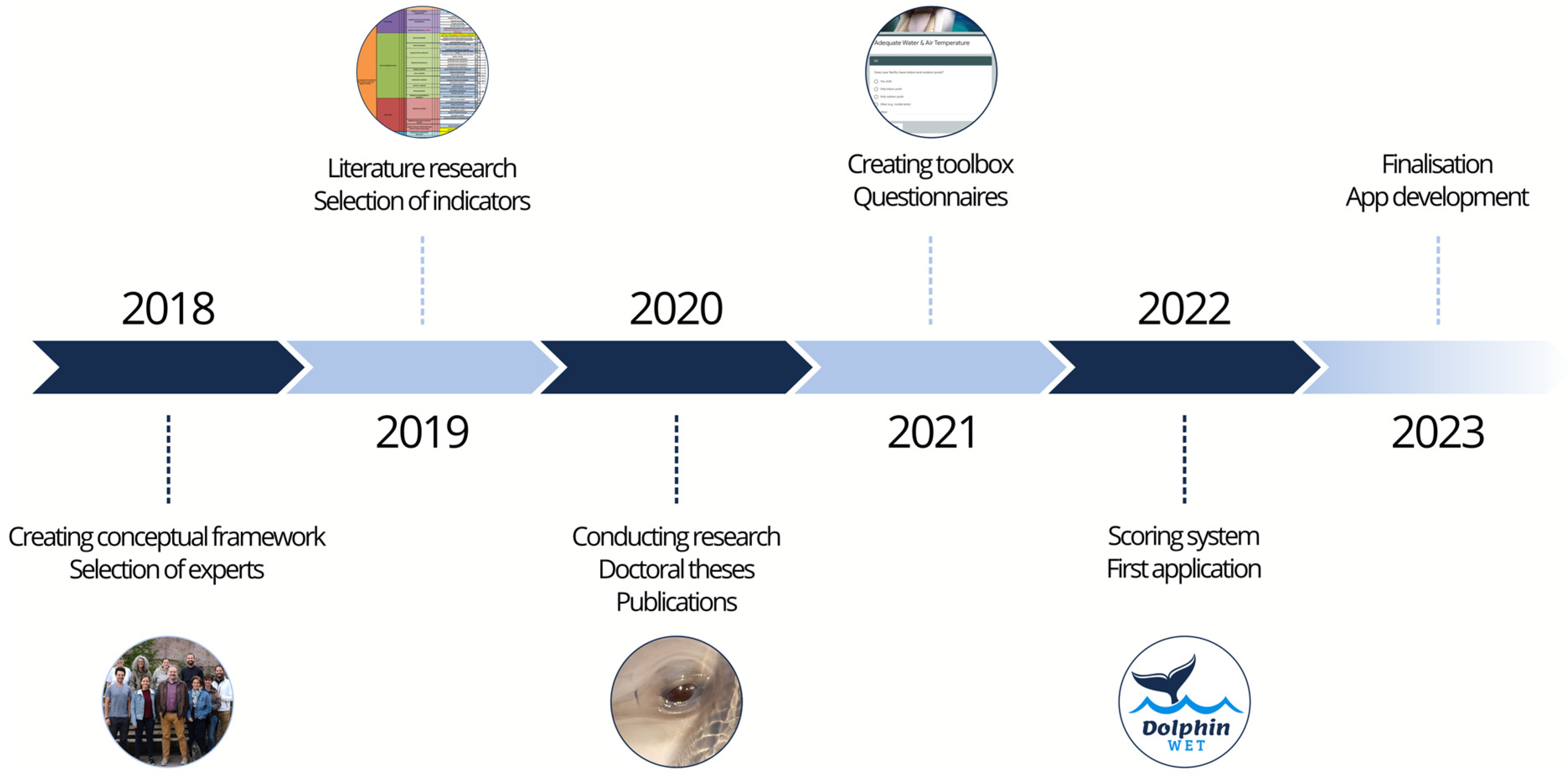 Animals 14 00701 g001