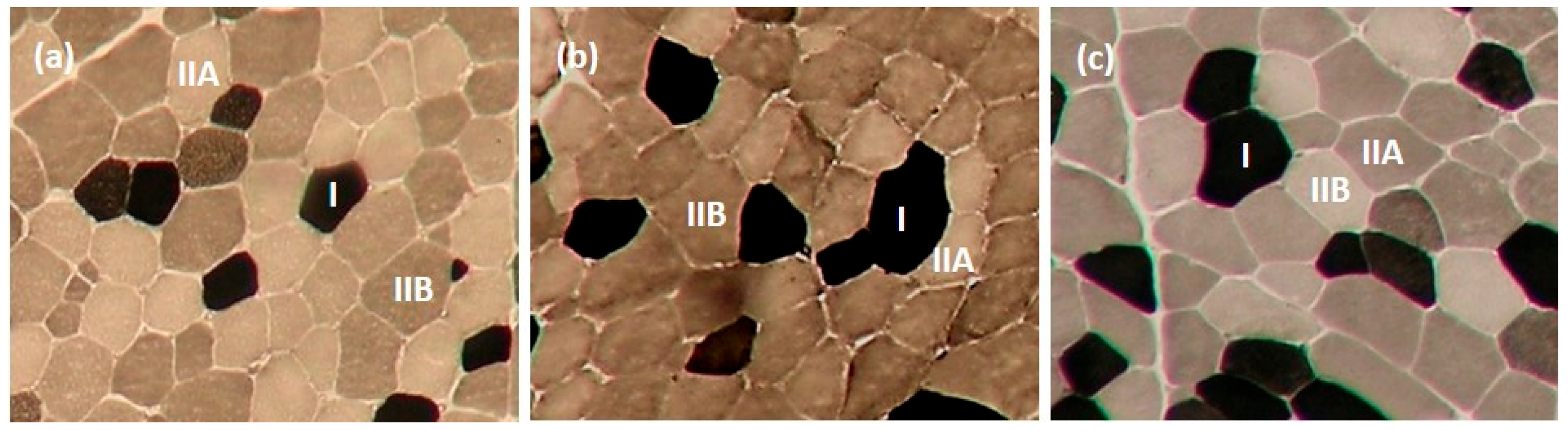 Animals 14 00704 g001