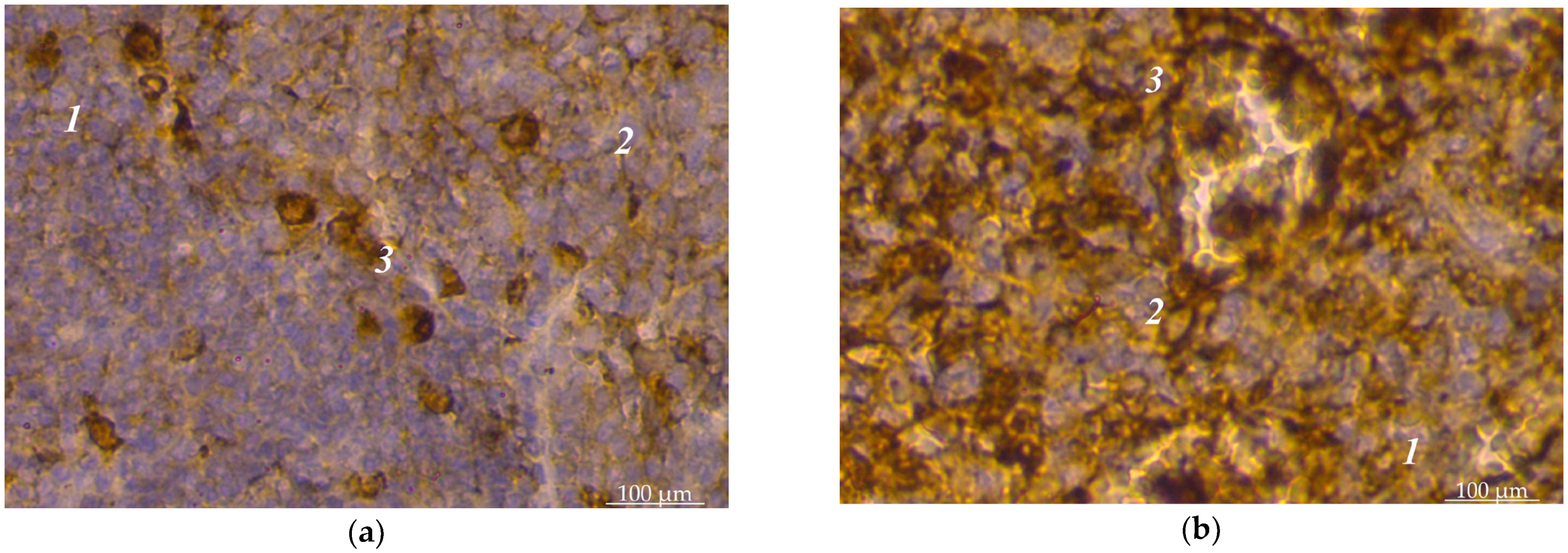 Animals 14 00706 g002