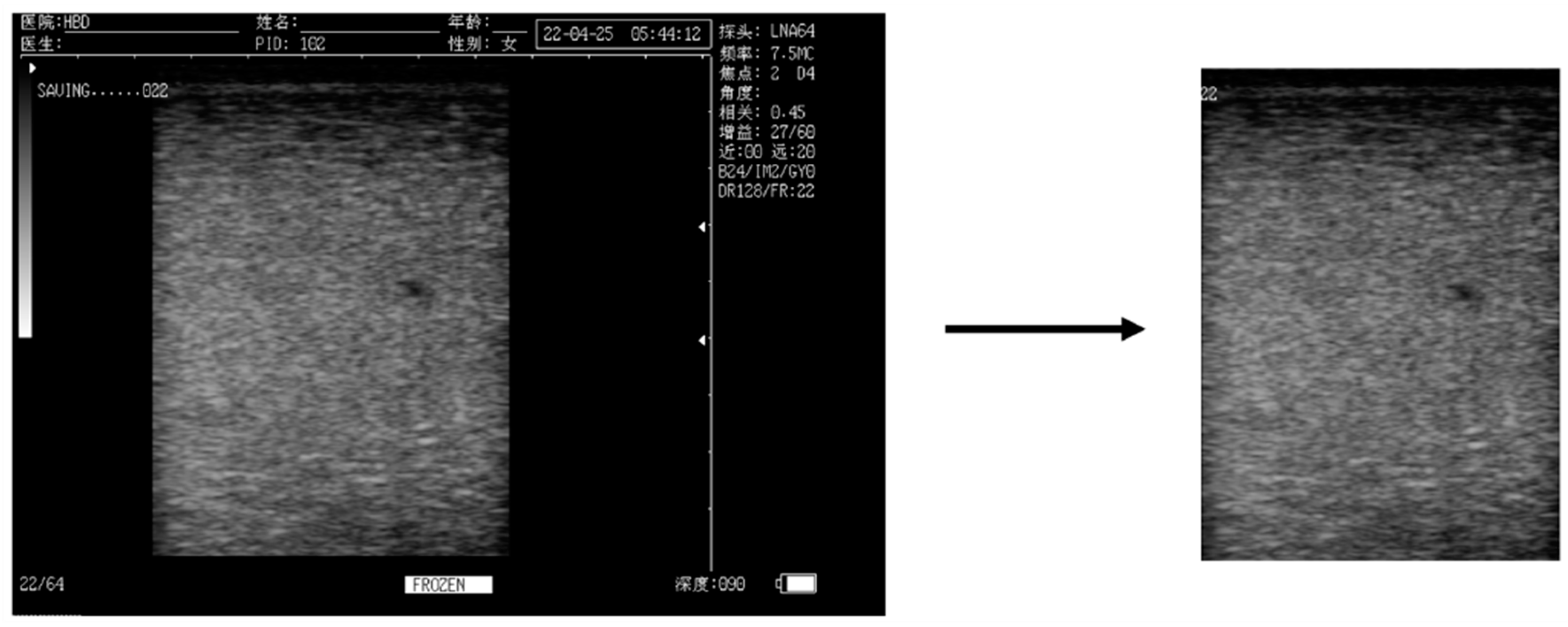 Animals 14 00707 g001