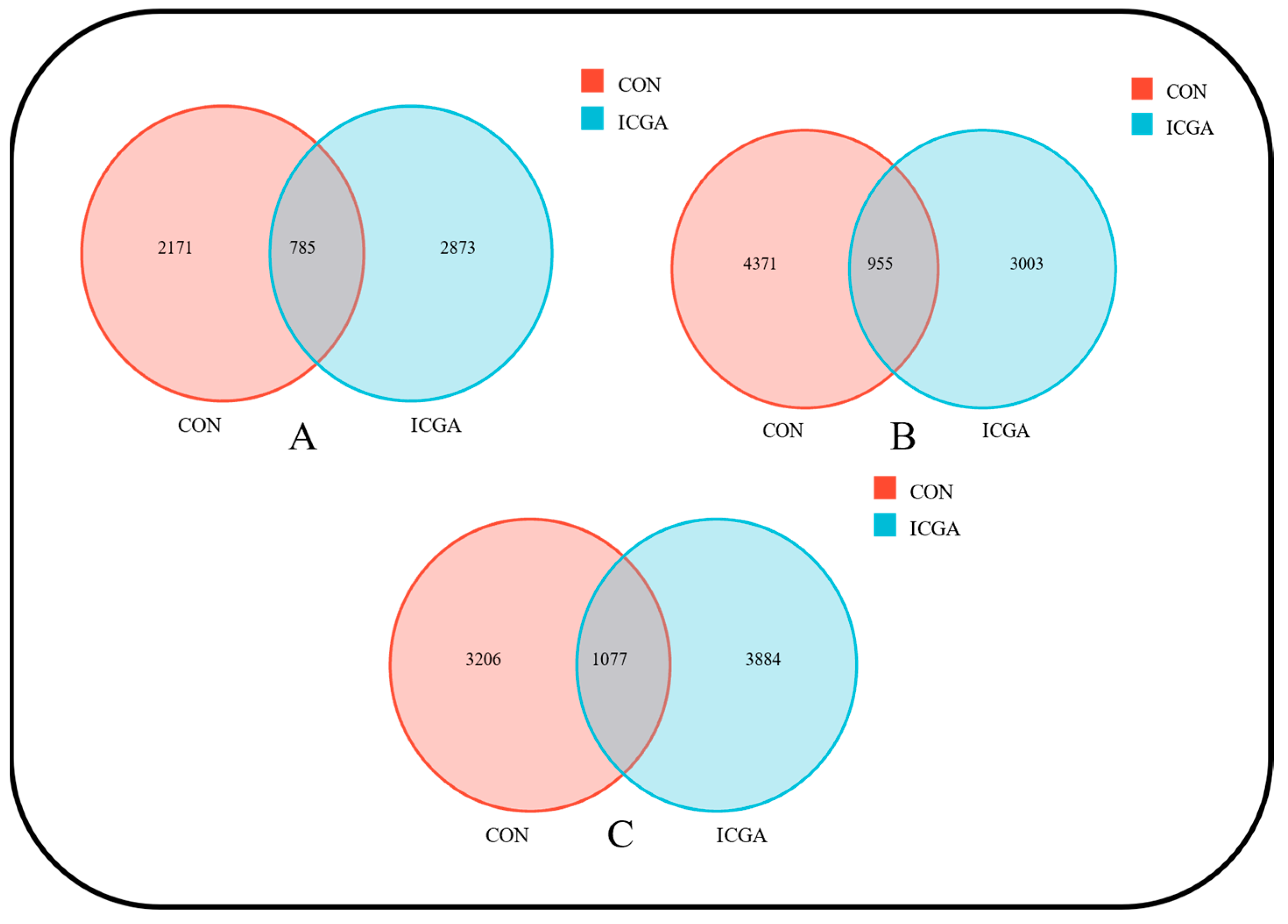 Animals 14 00715 g002