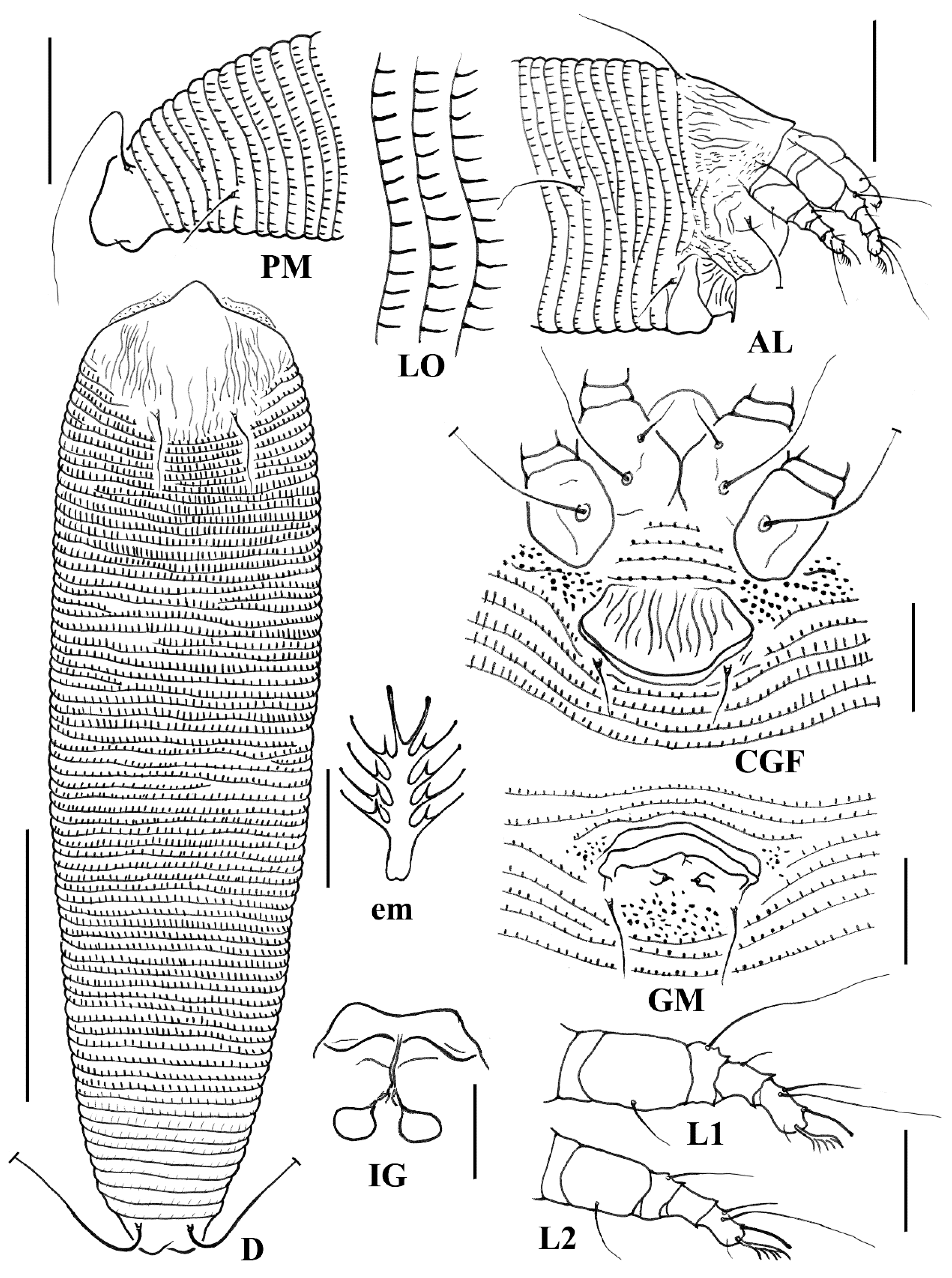Animals 14 00720 g001