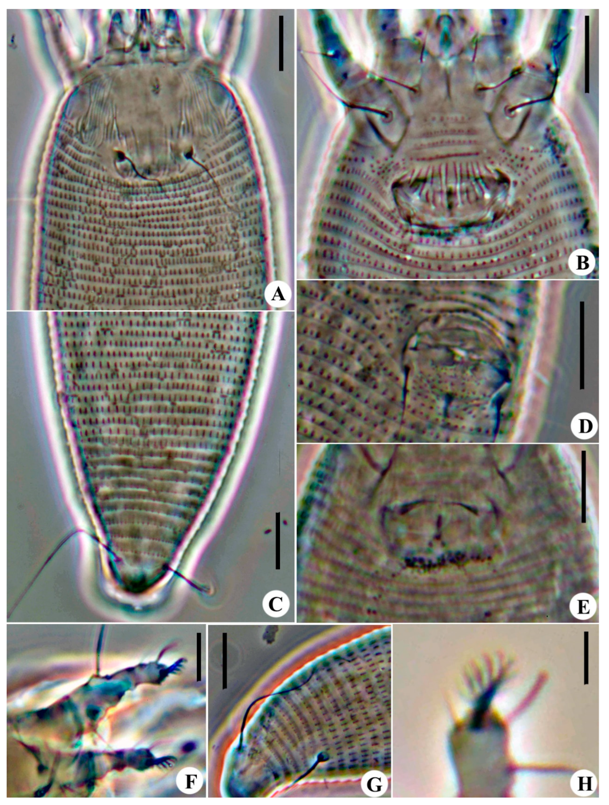 Animals 14 00720 g002