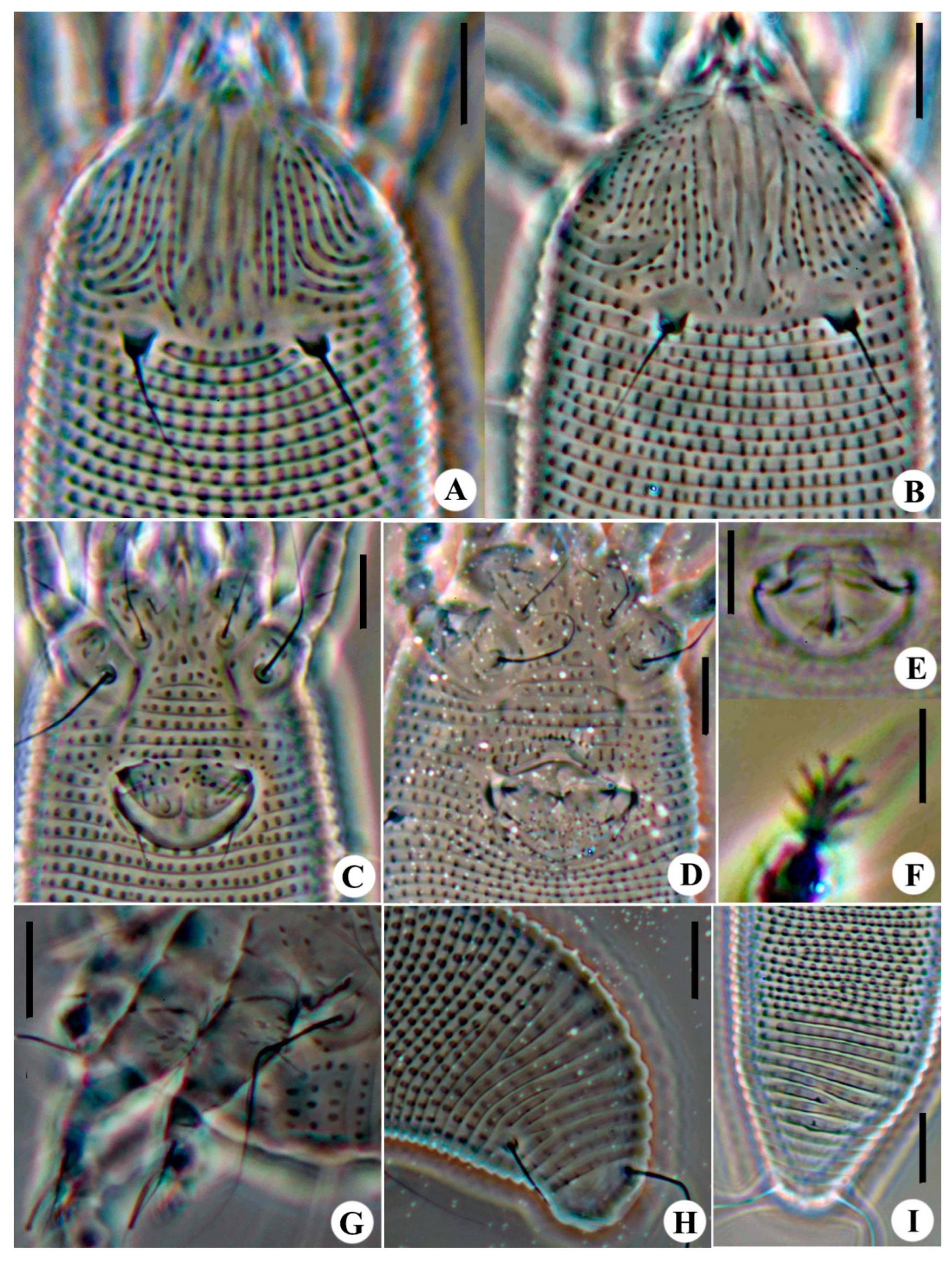 Animals 14 00720 g005