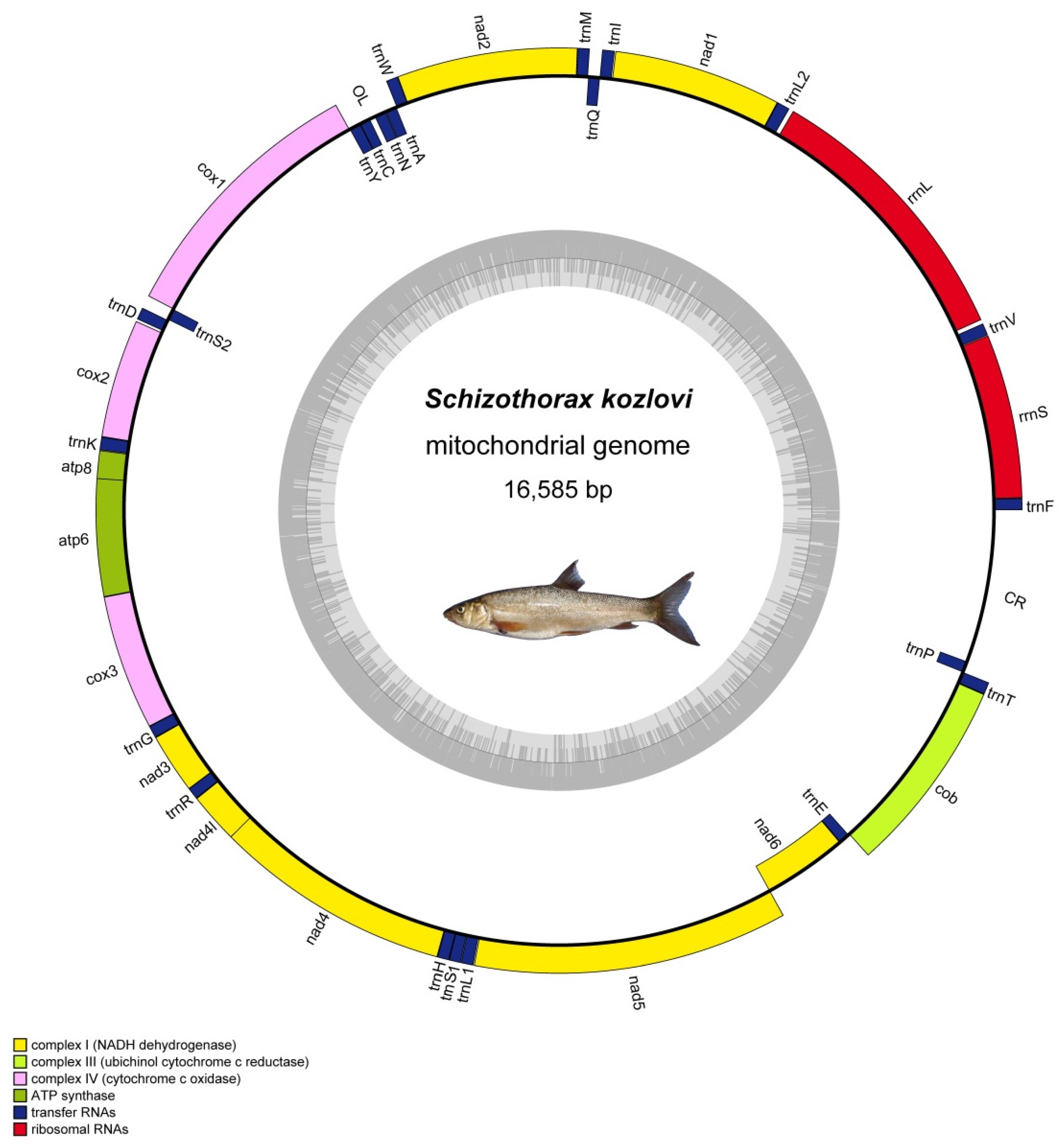 Animals 14 00721 g001 Animals 14 00721 g001