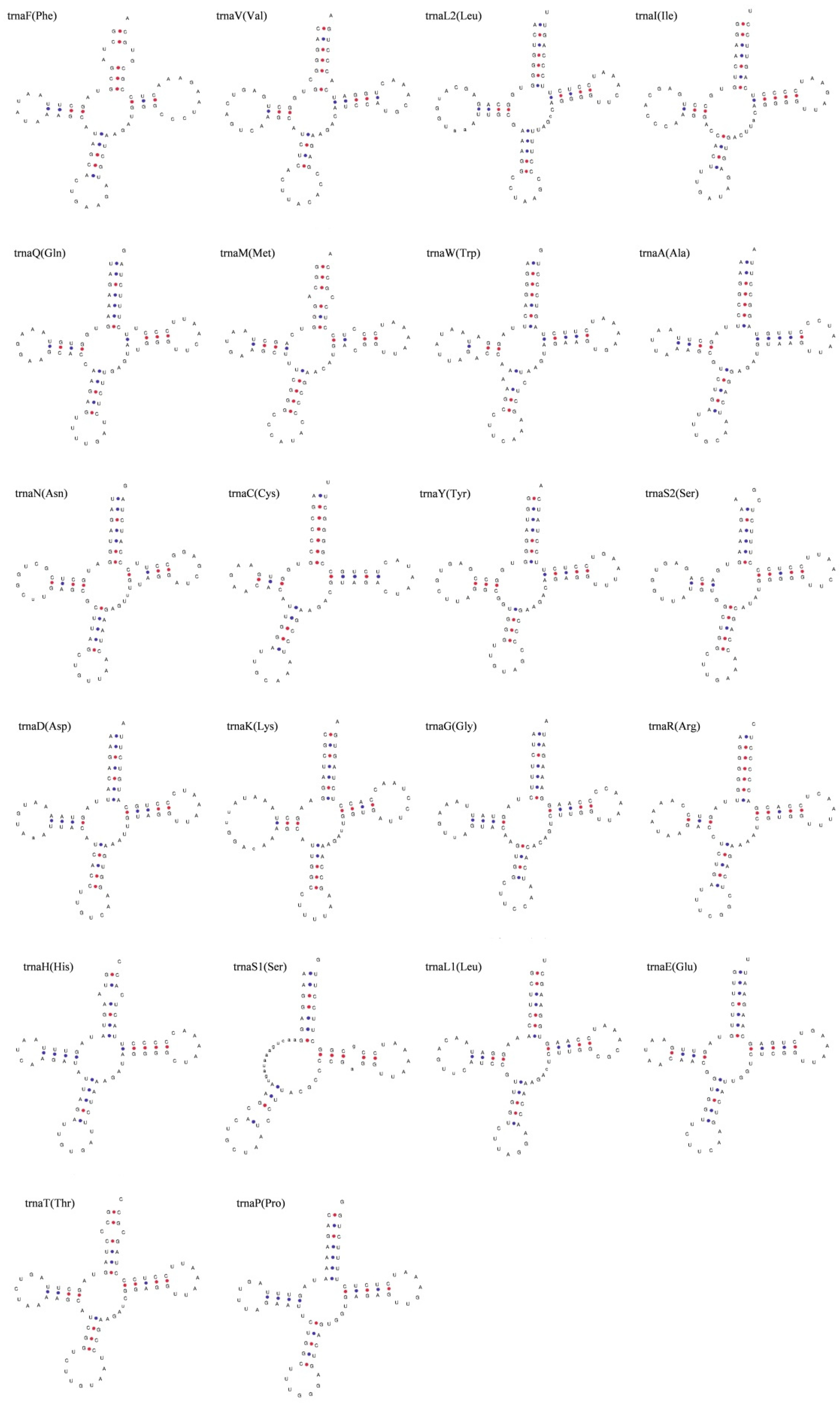 Animals 14 00721 g003 Animals 14 00721 g003