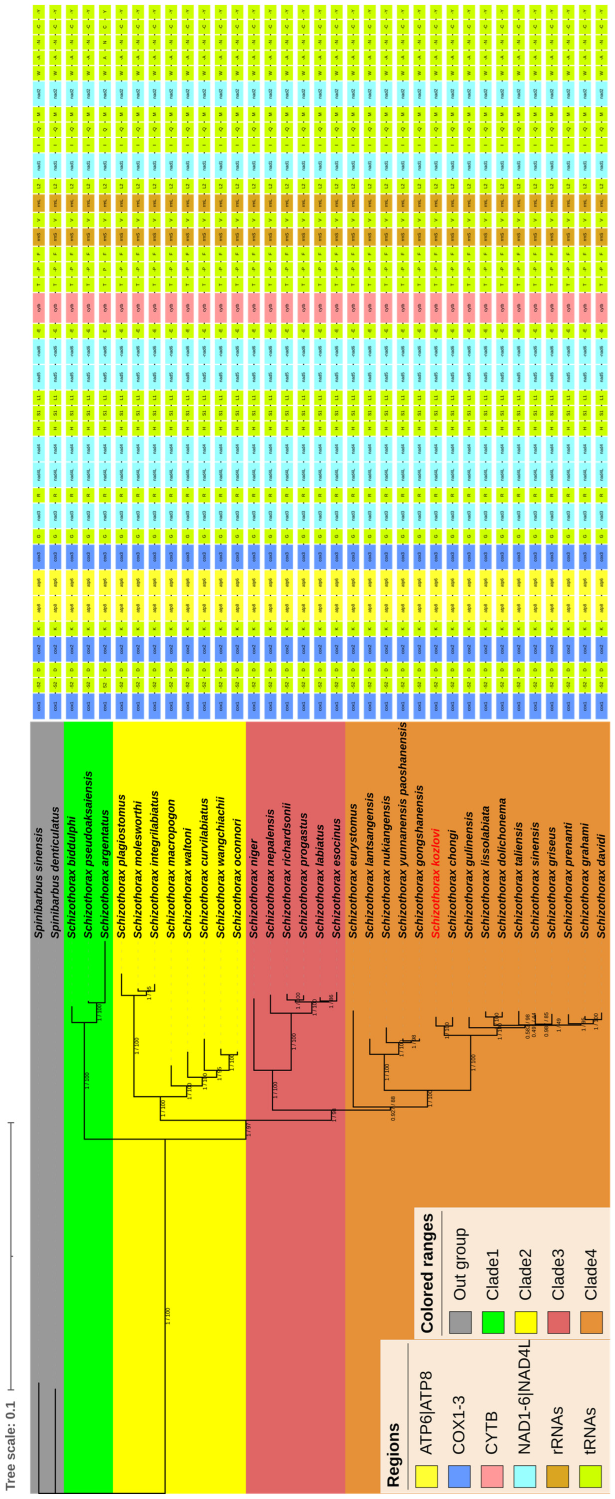 Animals 14 00721 g004 Animals 14 00721 g004