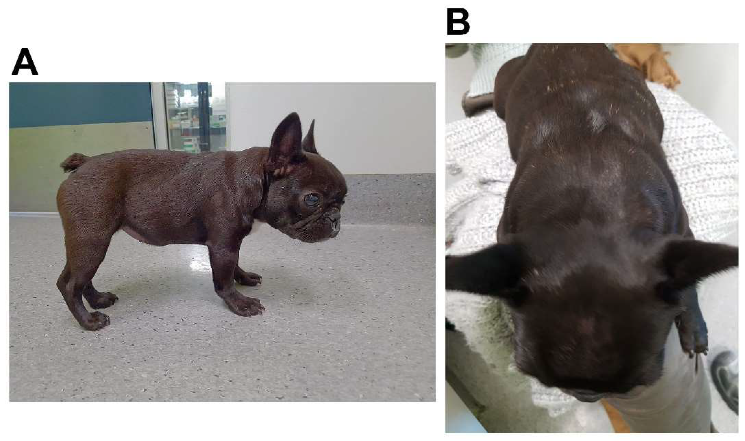 Animals 14 00722 g001