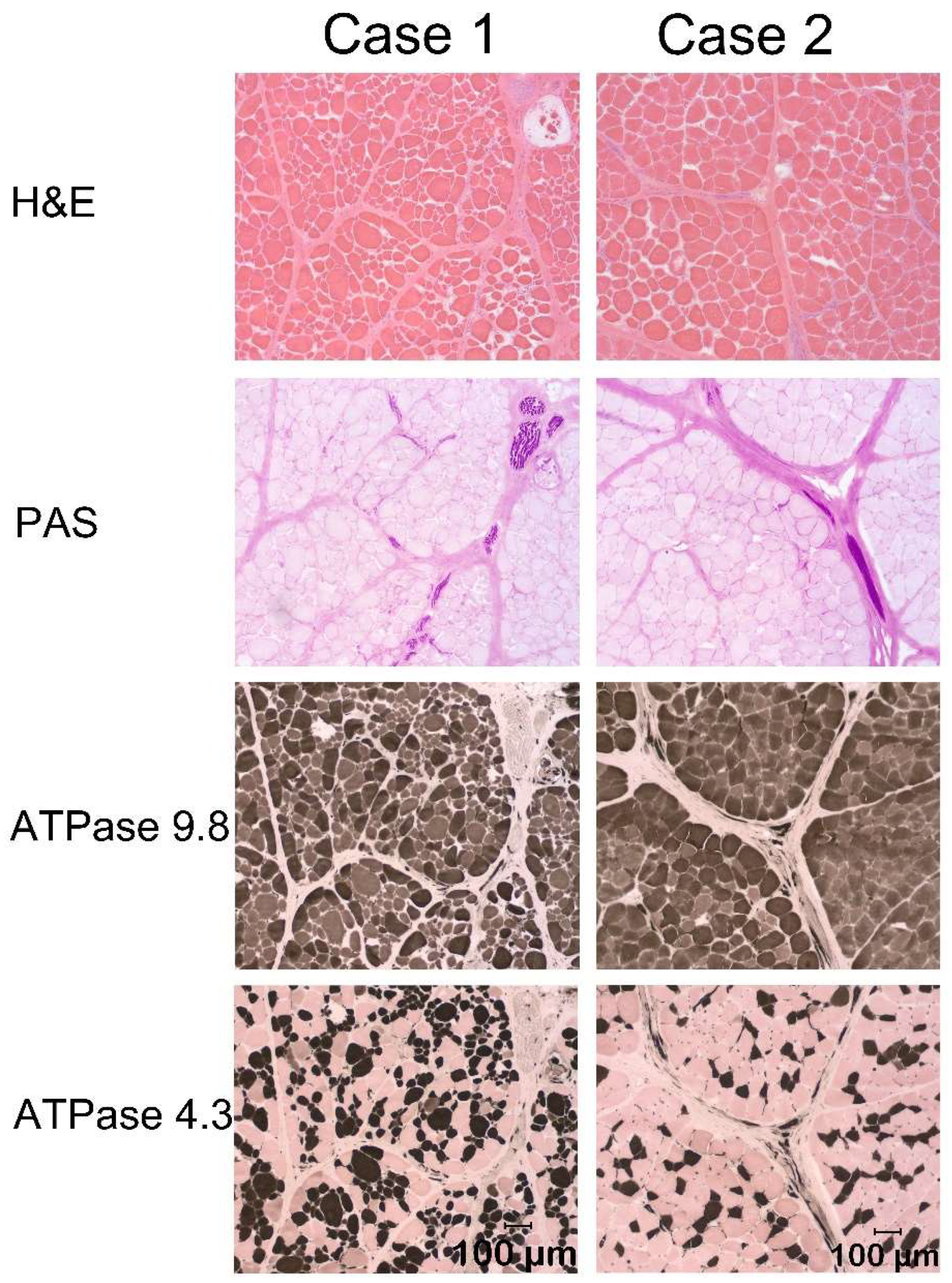 Animals 14 00722 g002