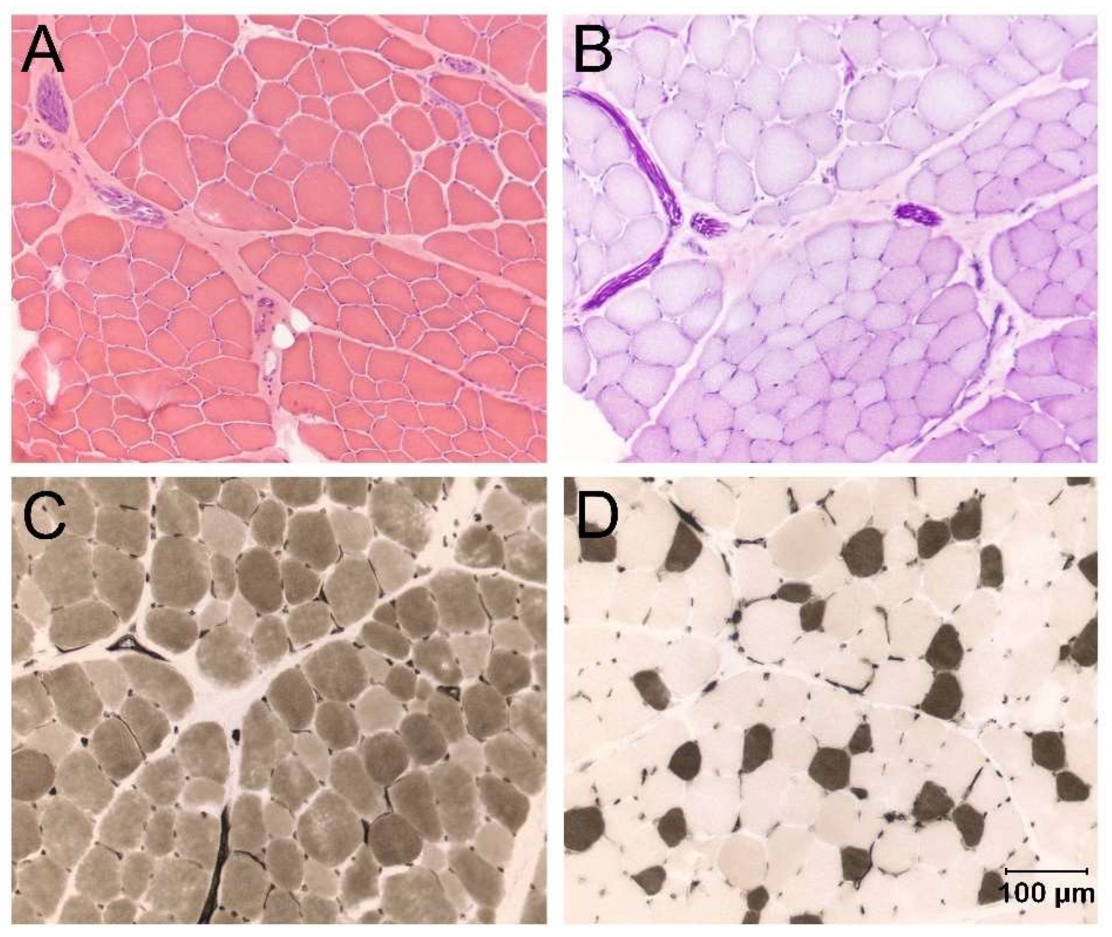 Animals 14 00722 g003