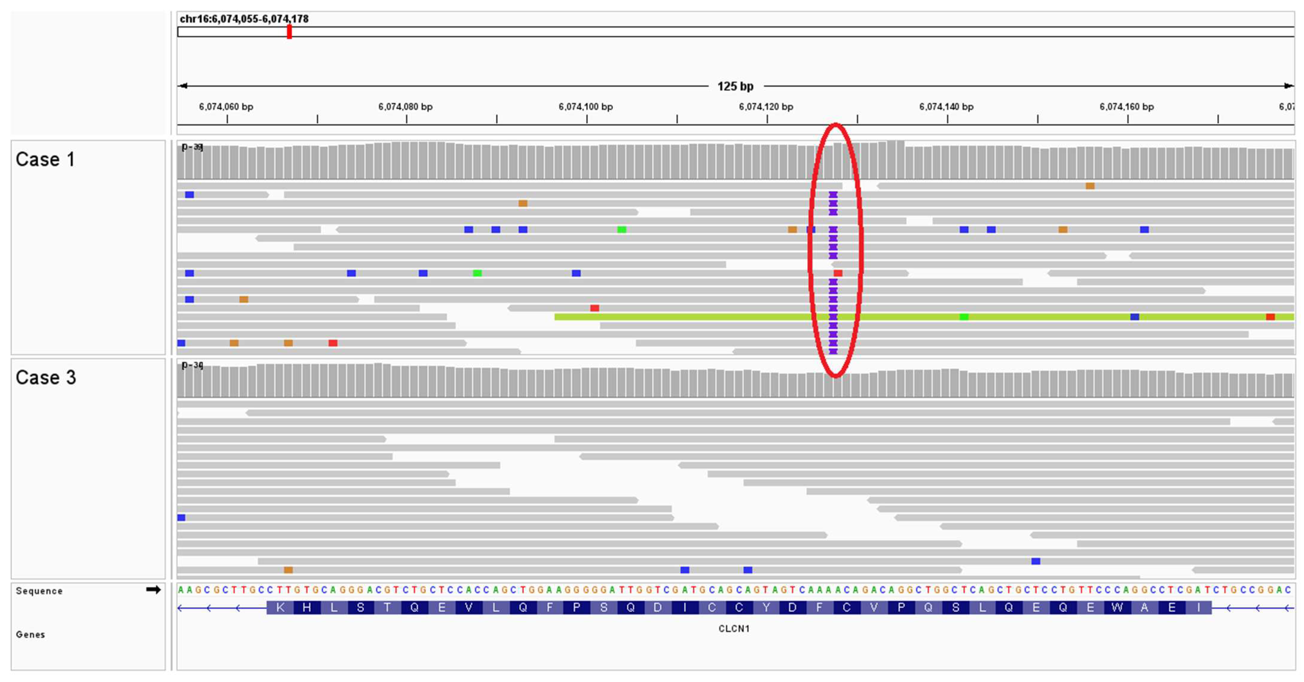 Animals 14 00722 g004