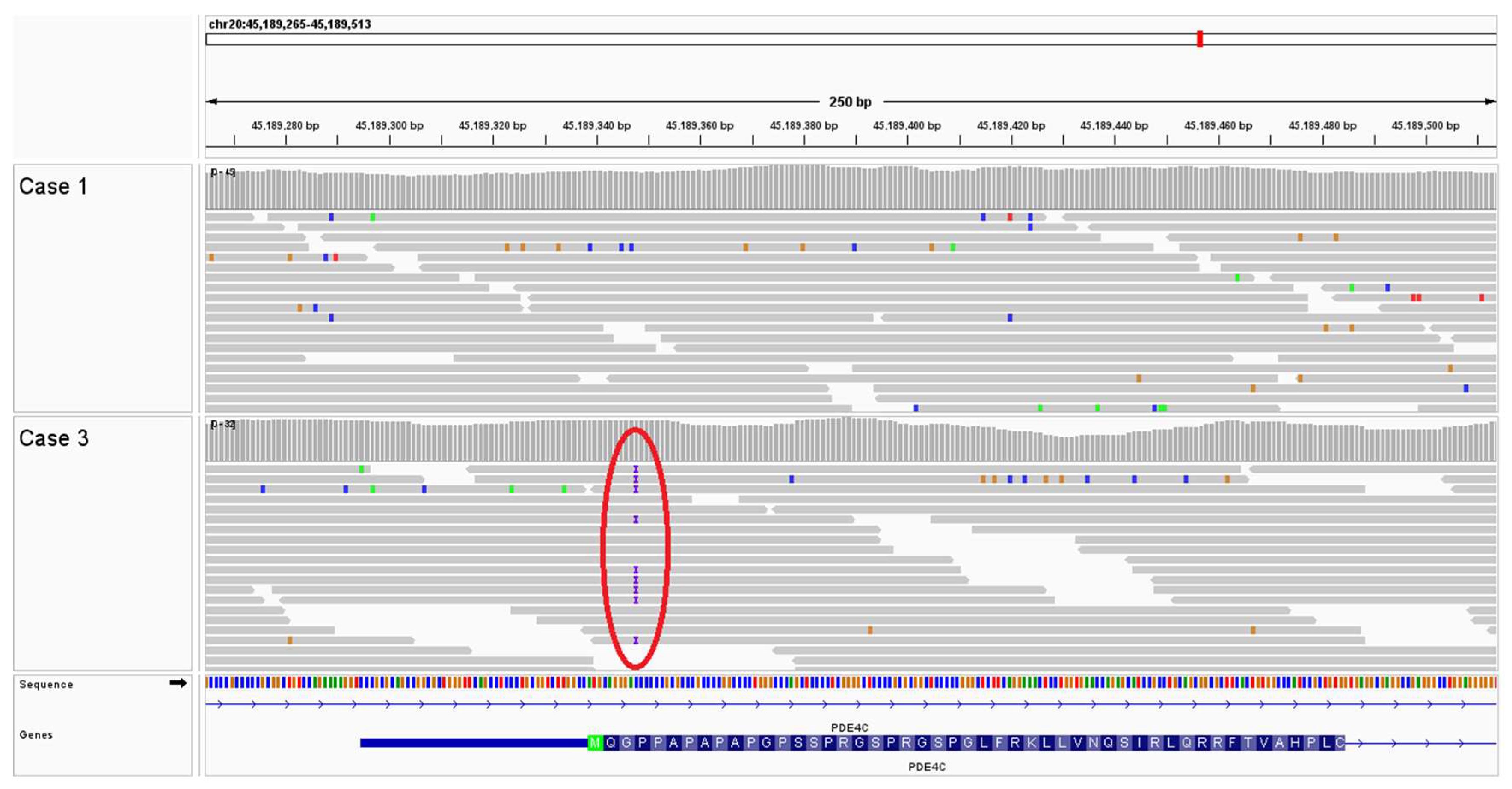 Animals 14 00722 g006