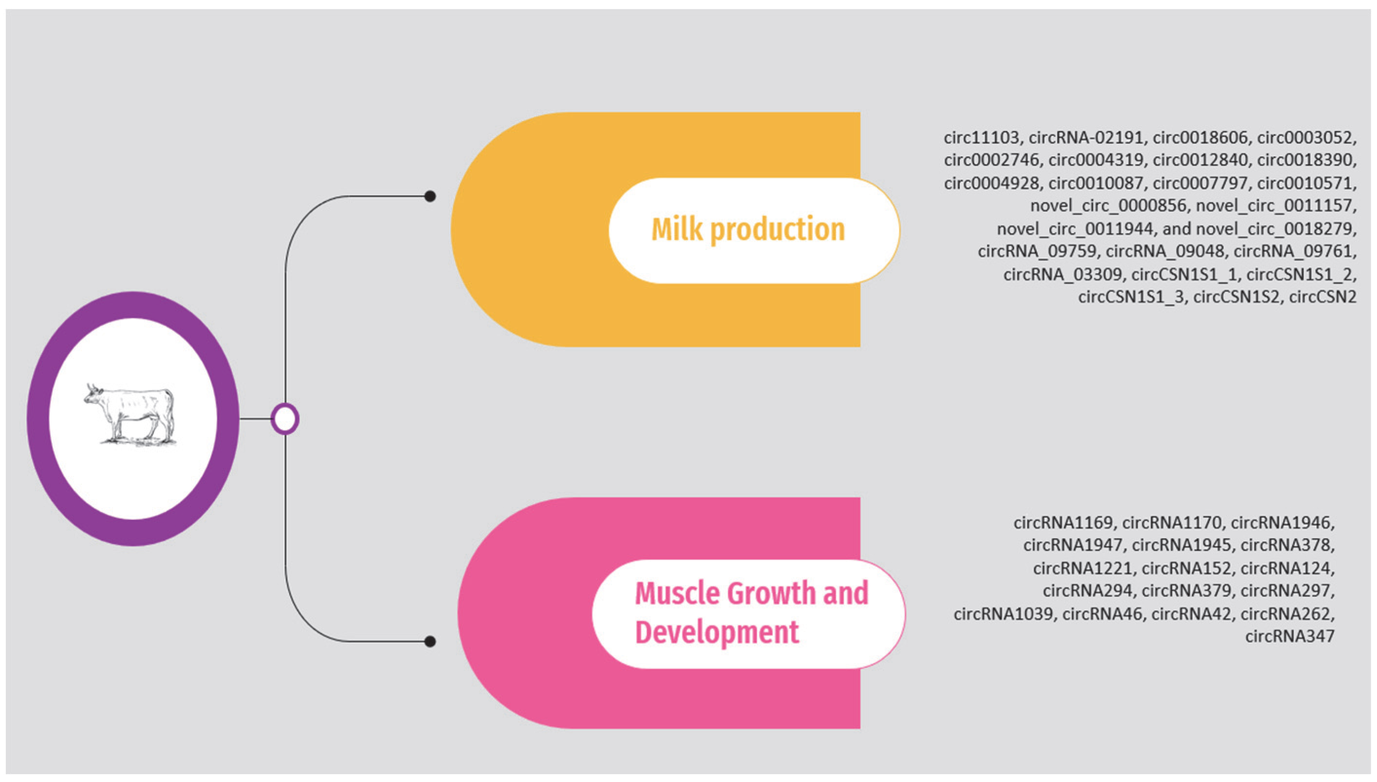 Animals 14 00733 g001