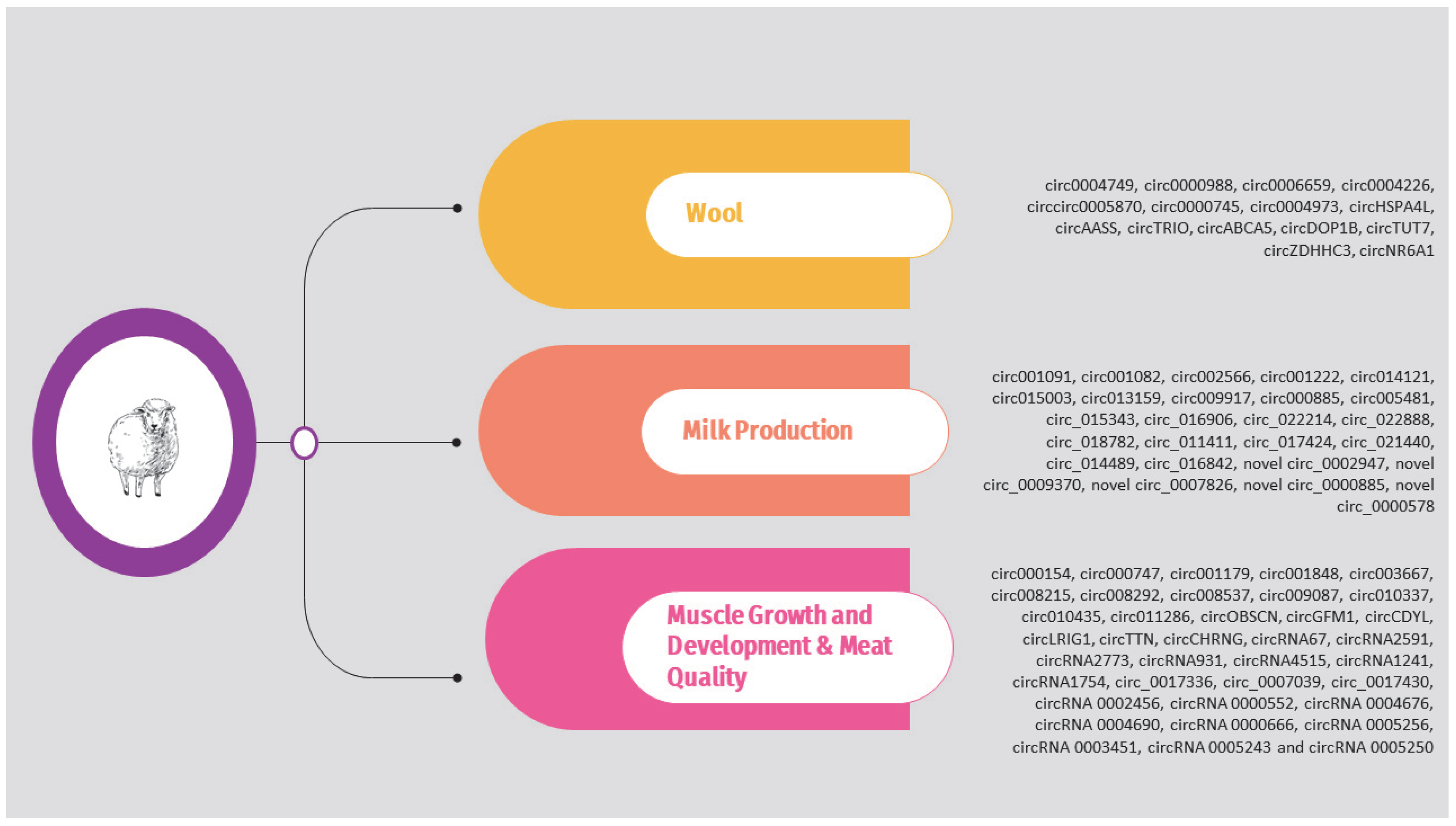 Animals 14 00733 g003