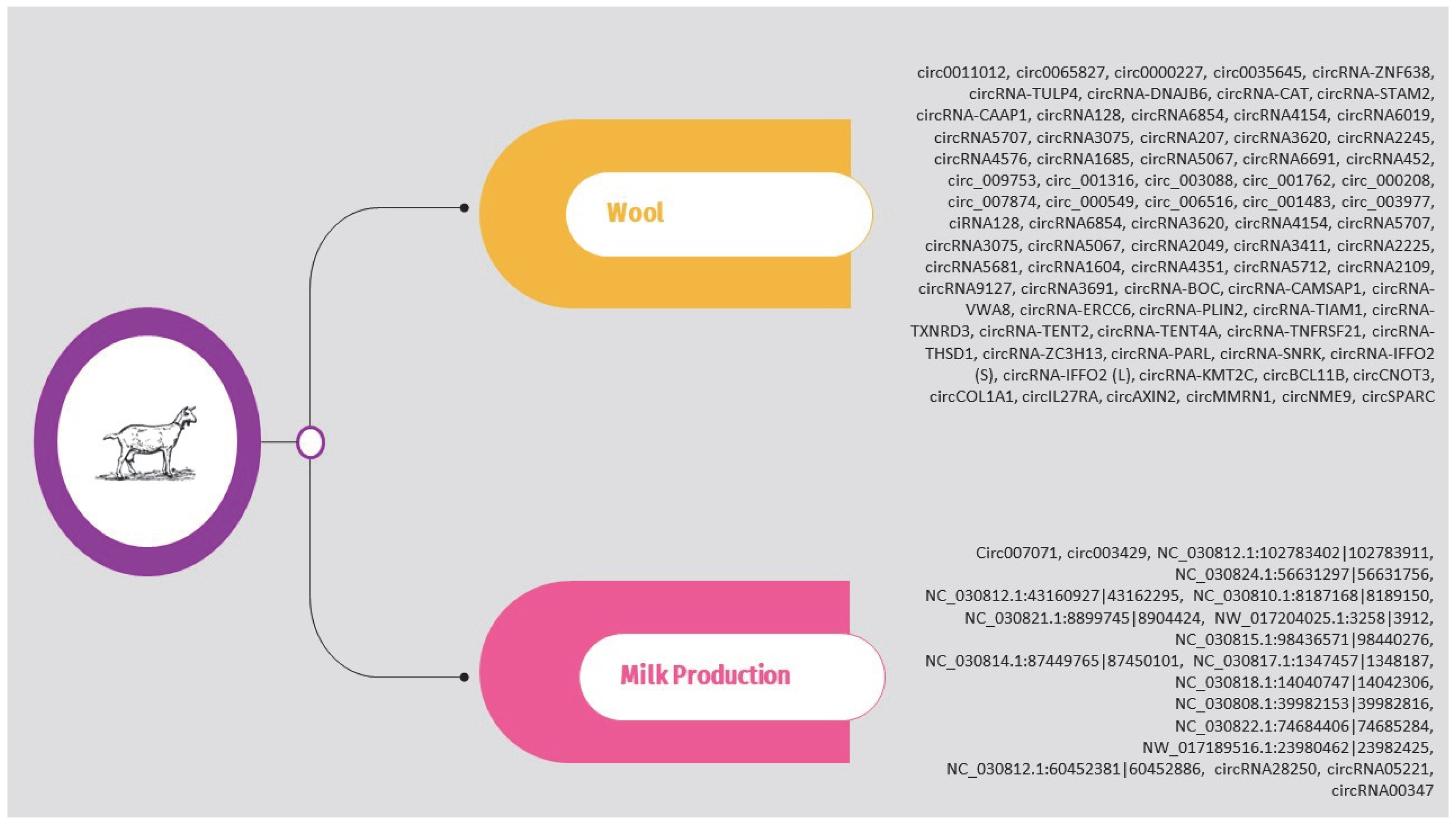 Animals 14 00733 g005