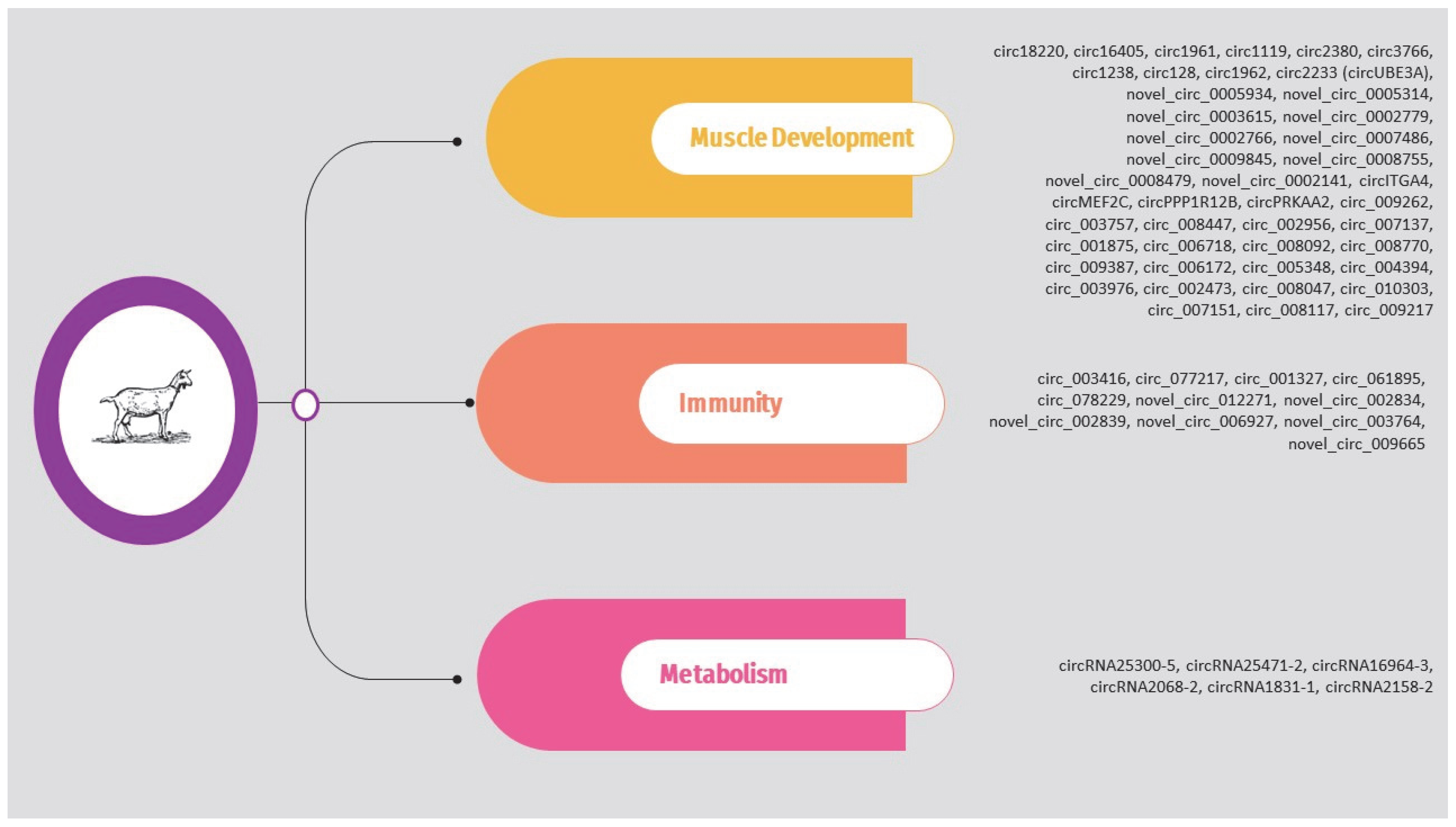 Animals 14 00733 g006