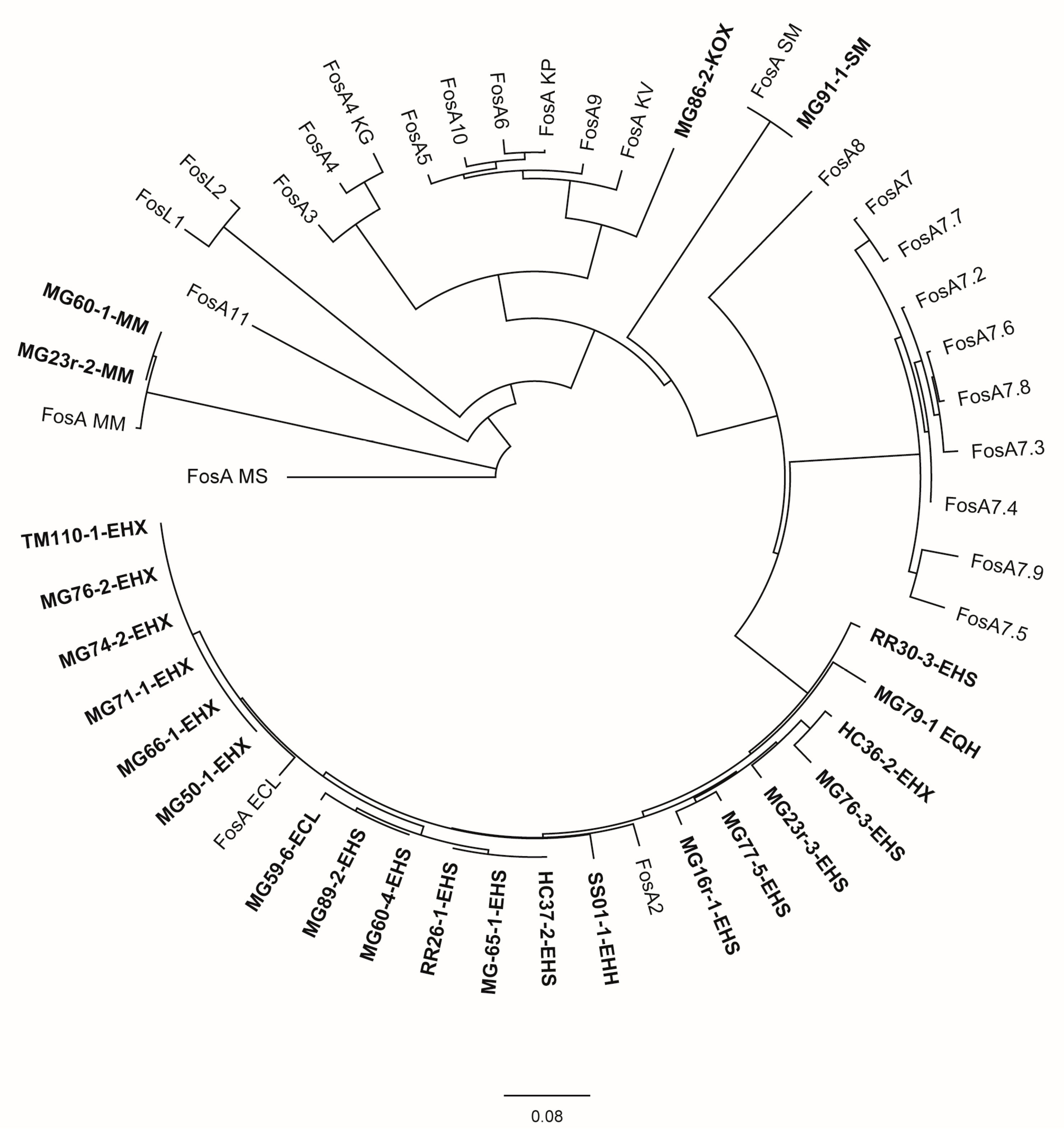 Animals 14 00741 g002 Animals 14 00741 g002