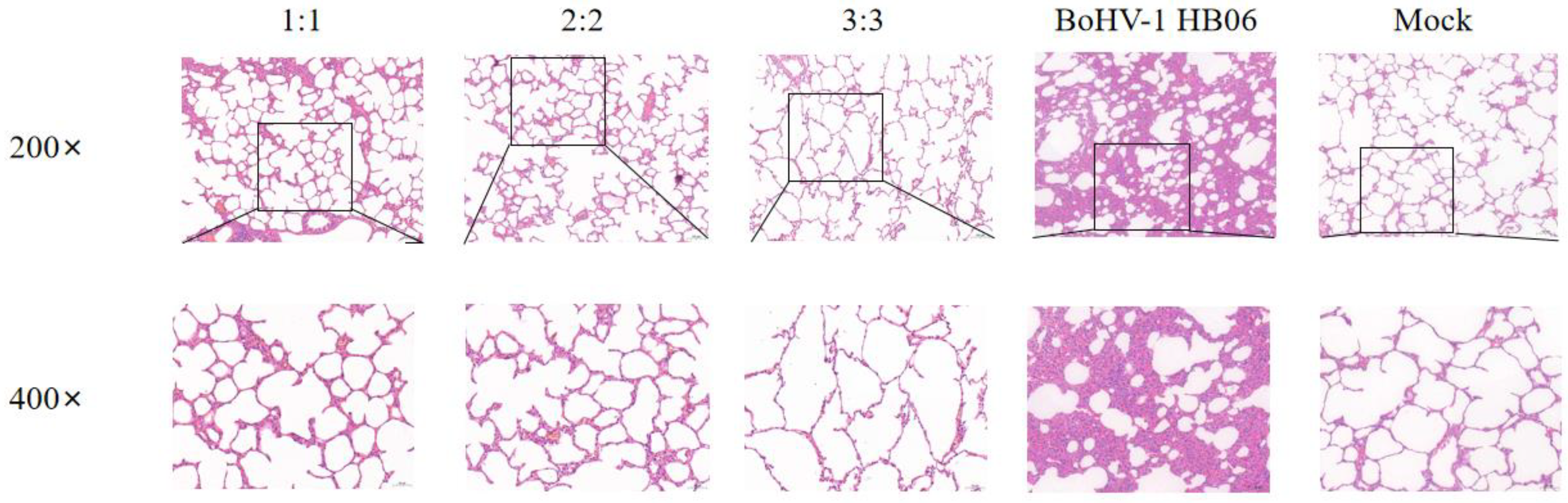 Animals 14 00748 g007