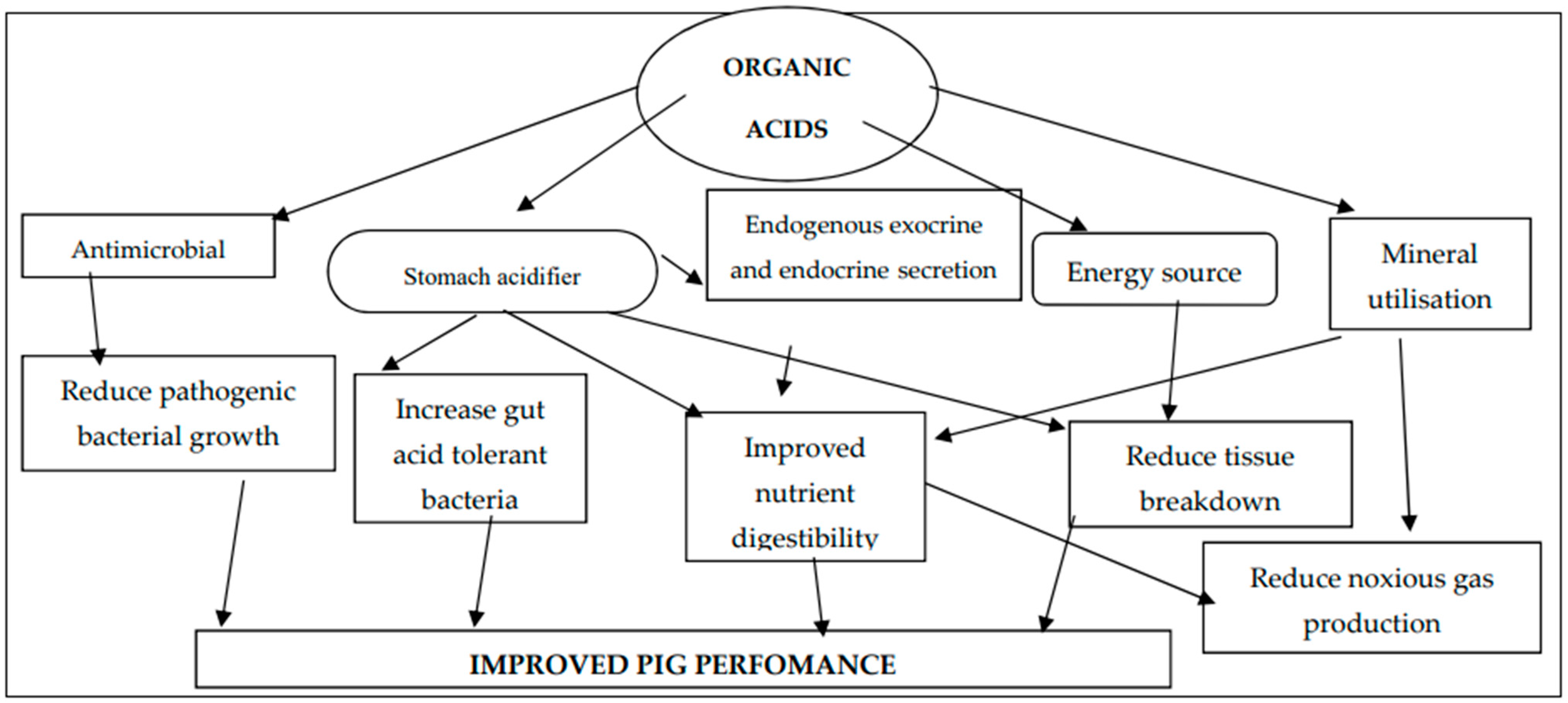 Animals 14 00762 g001