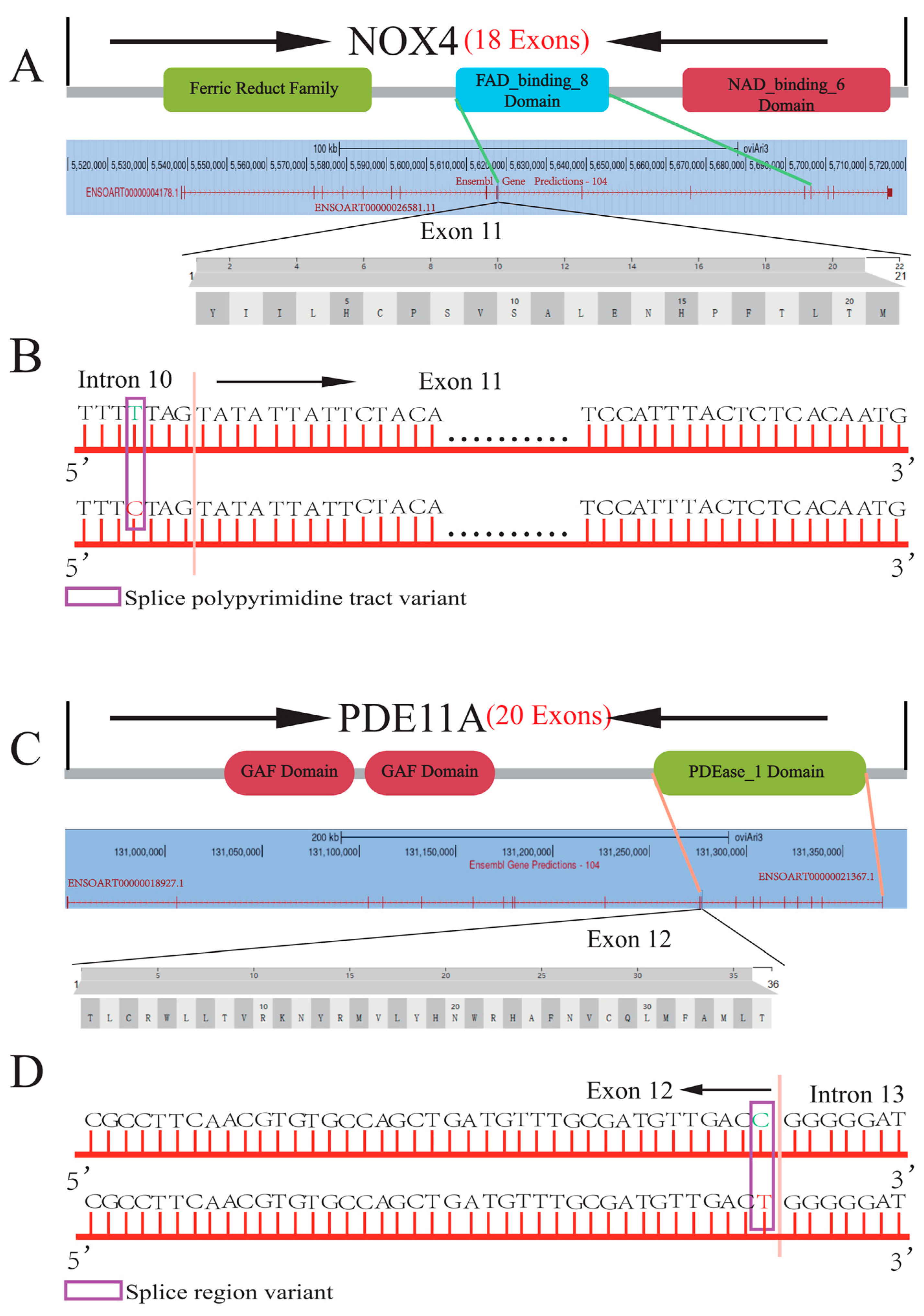 Animals 14 00767 g002
