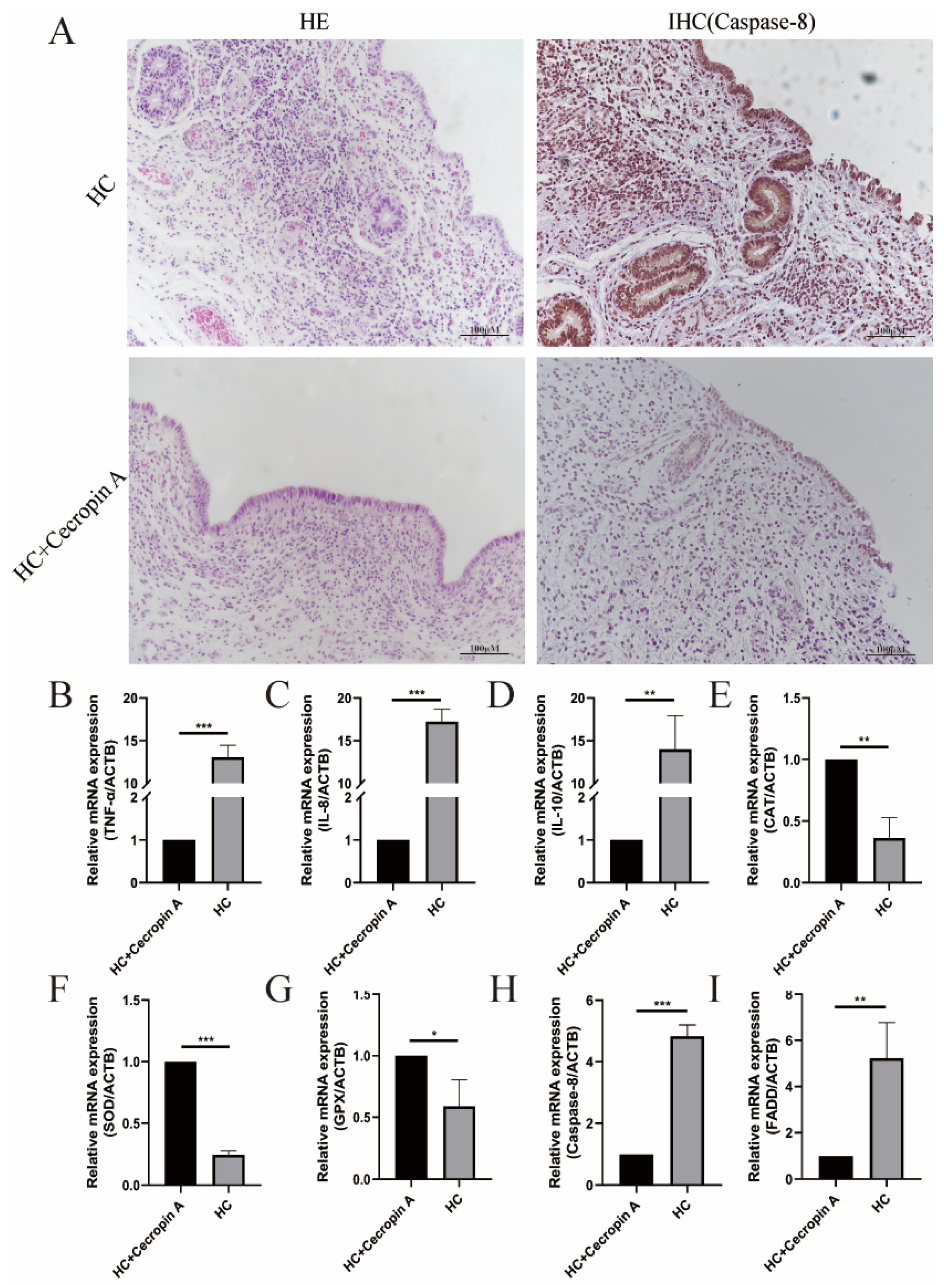 Animals 14 00768 g002