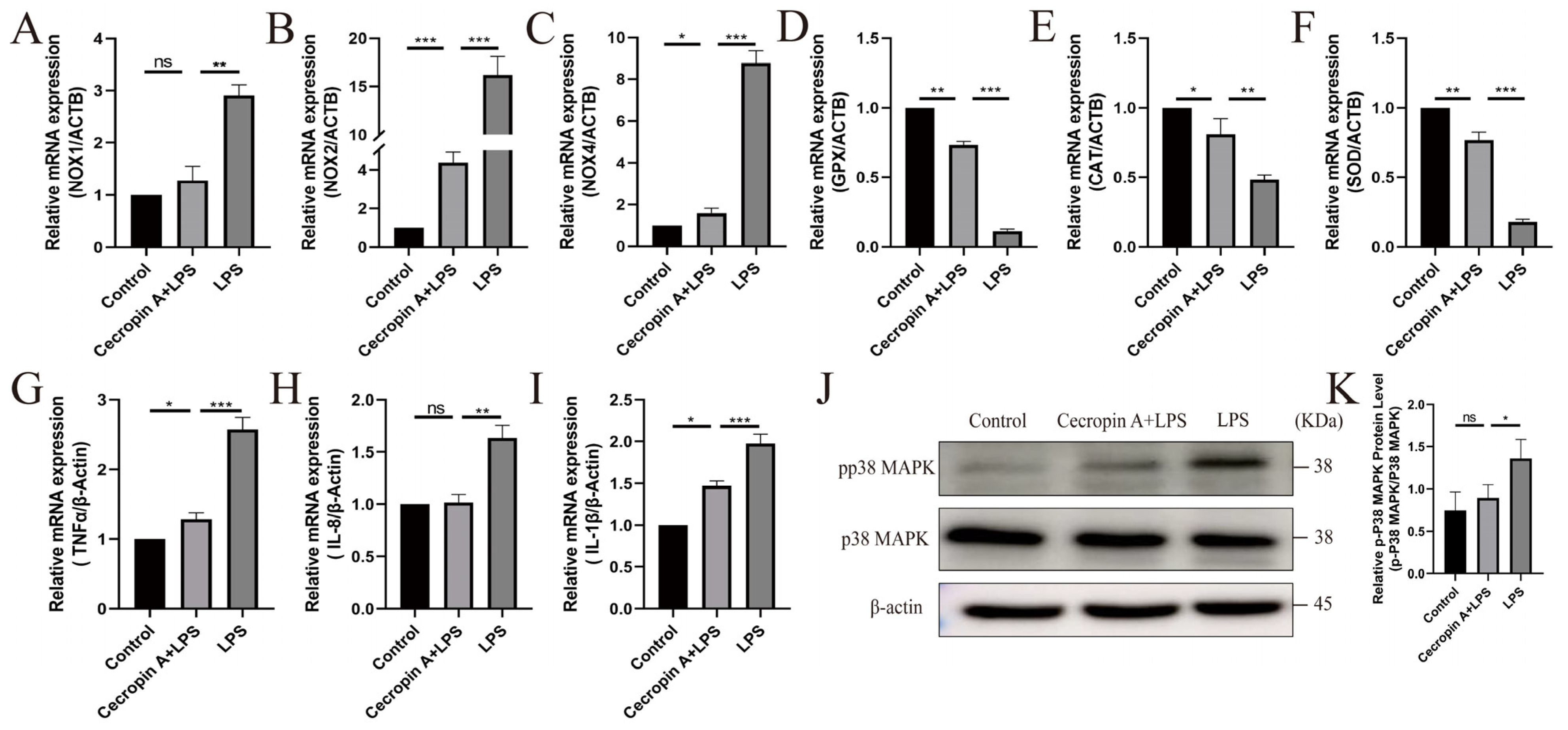 Animals 14 00768 g004