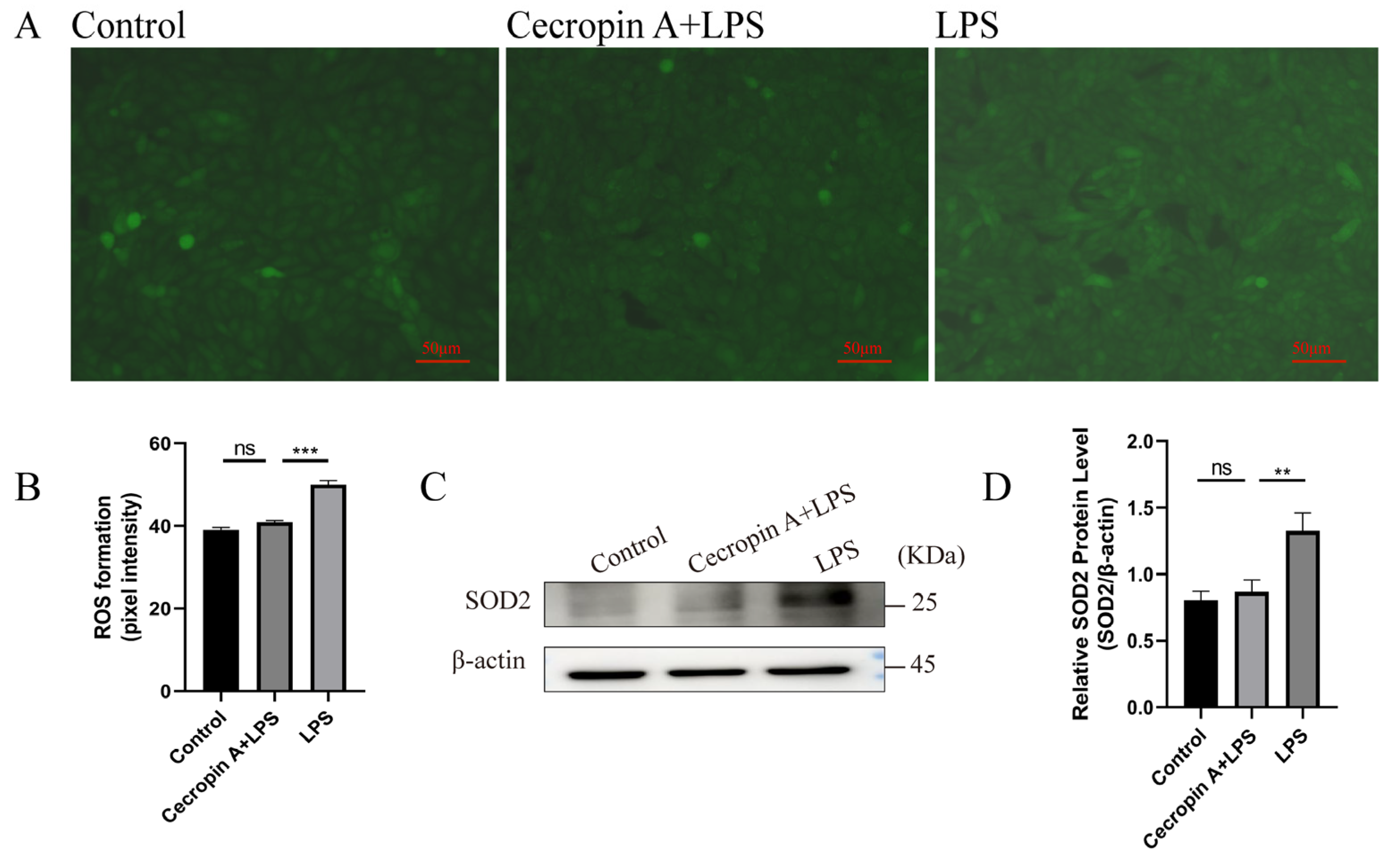 Animals 14 00768 g005