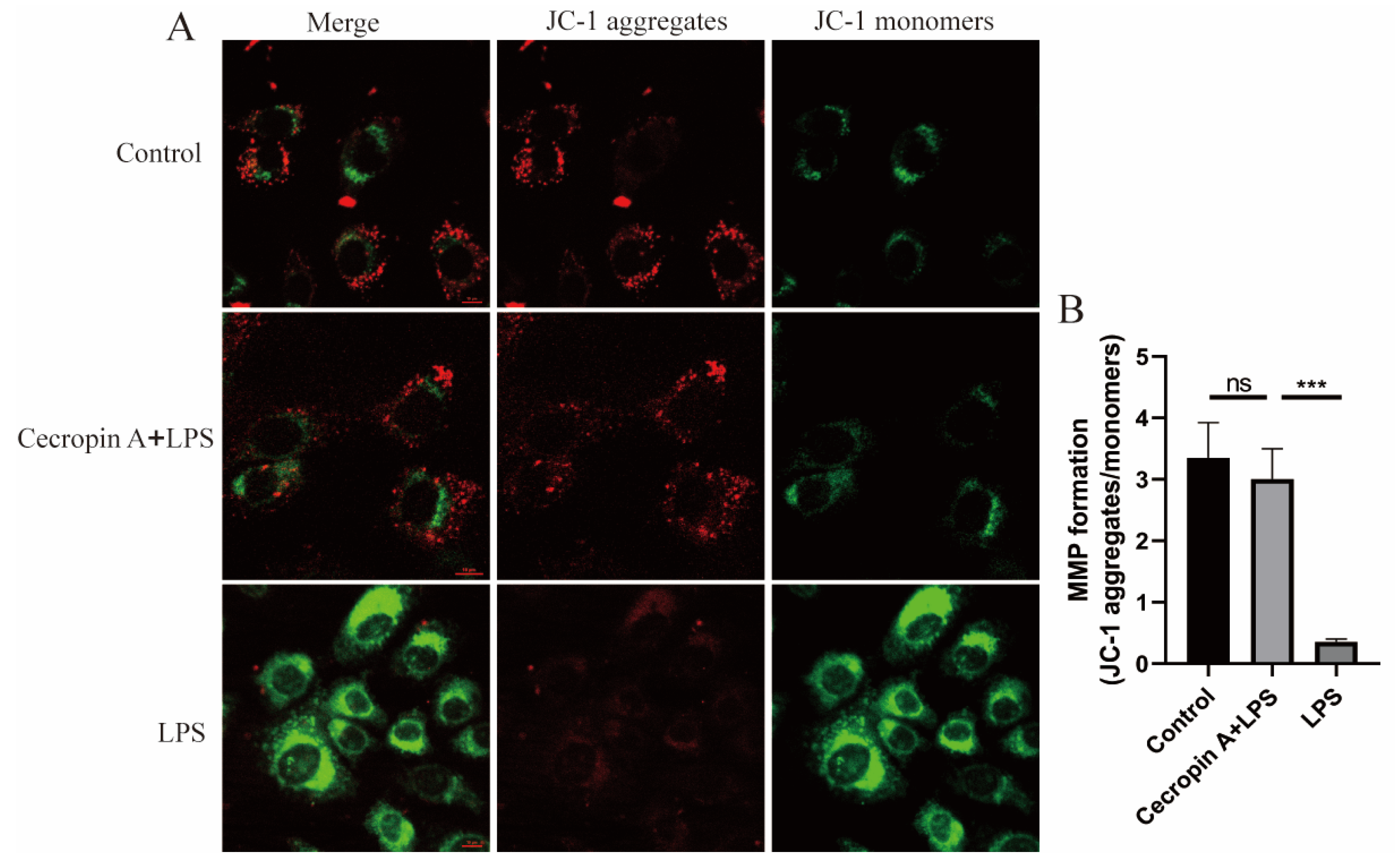Animals 14 00768 g006