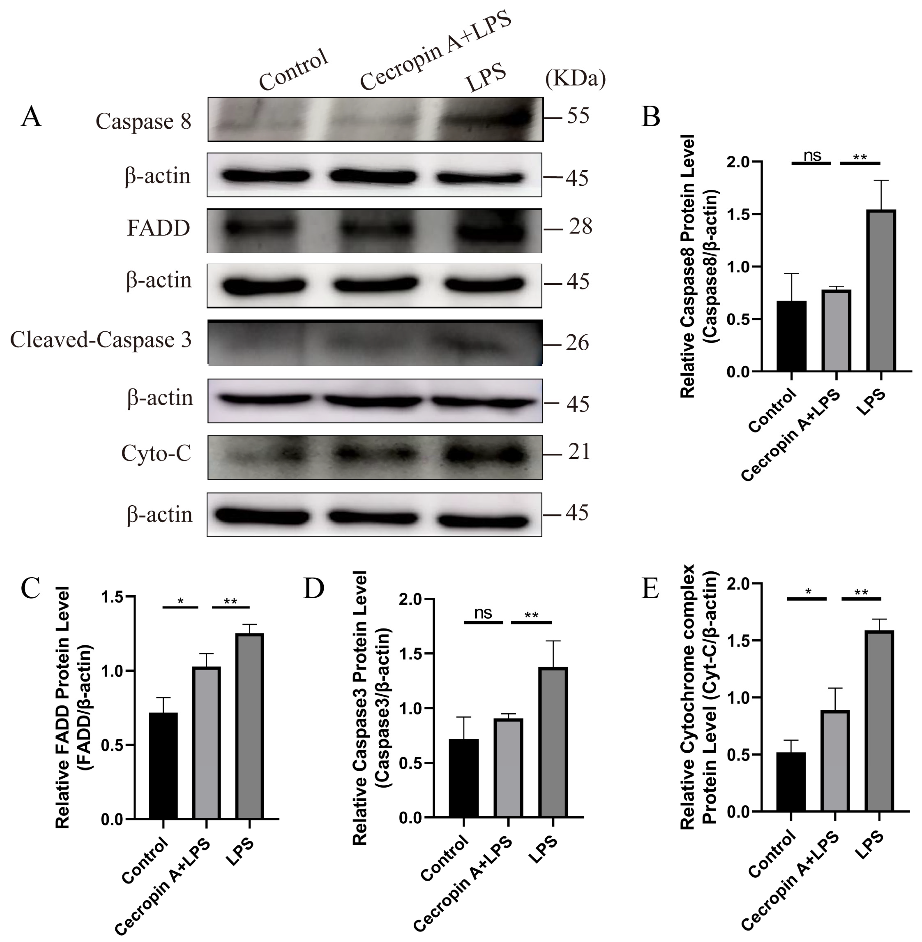 Animals 14 00768 g008