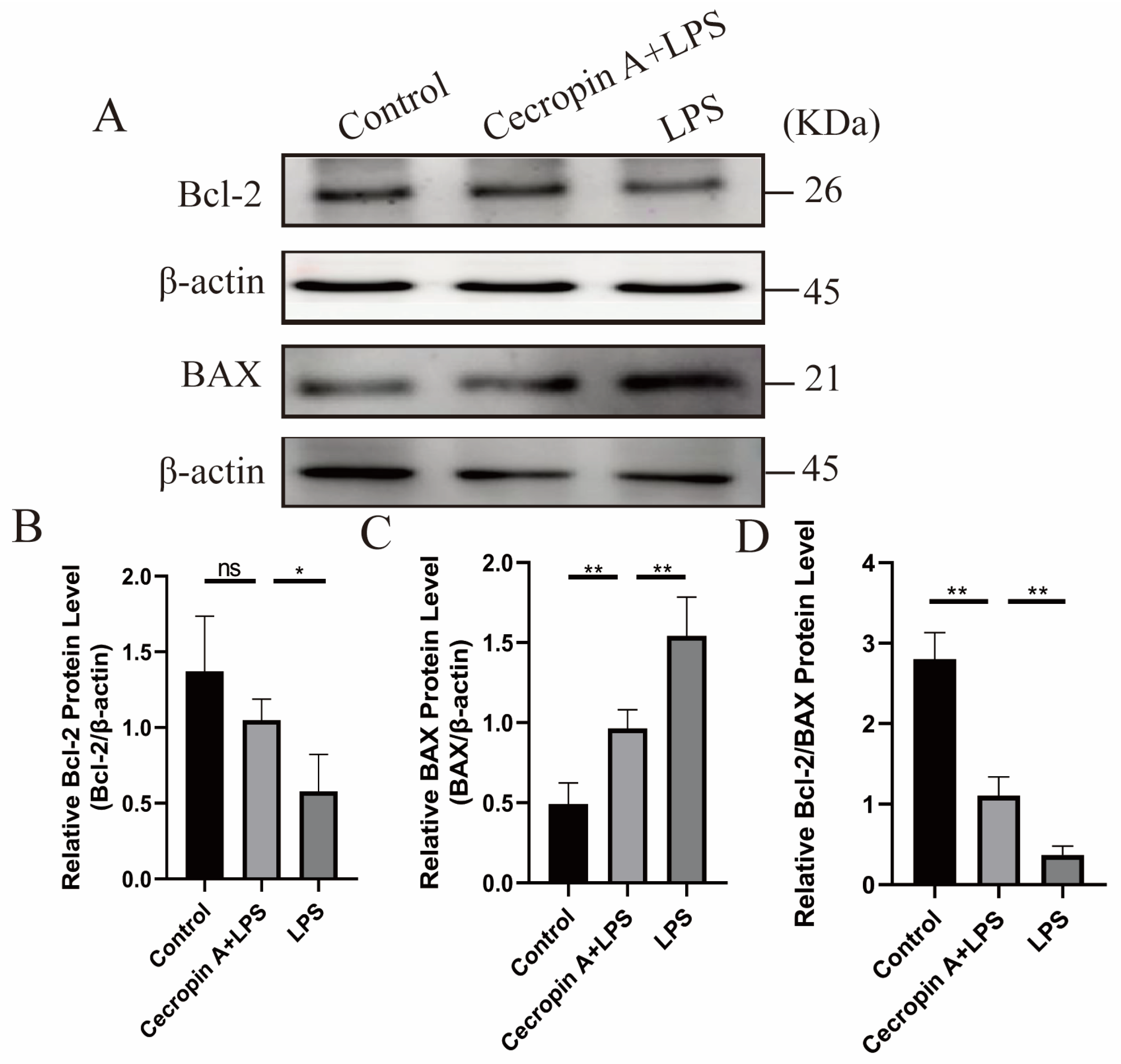 Animals 14 00768 g010