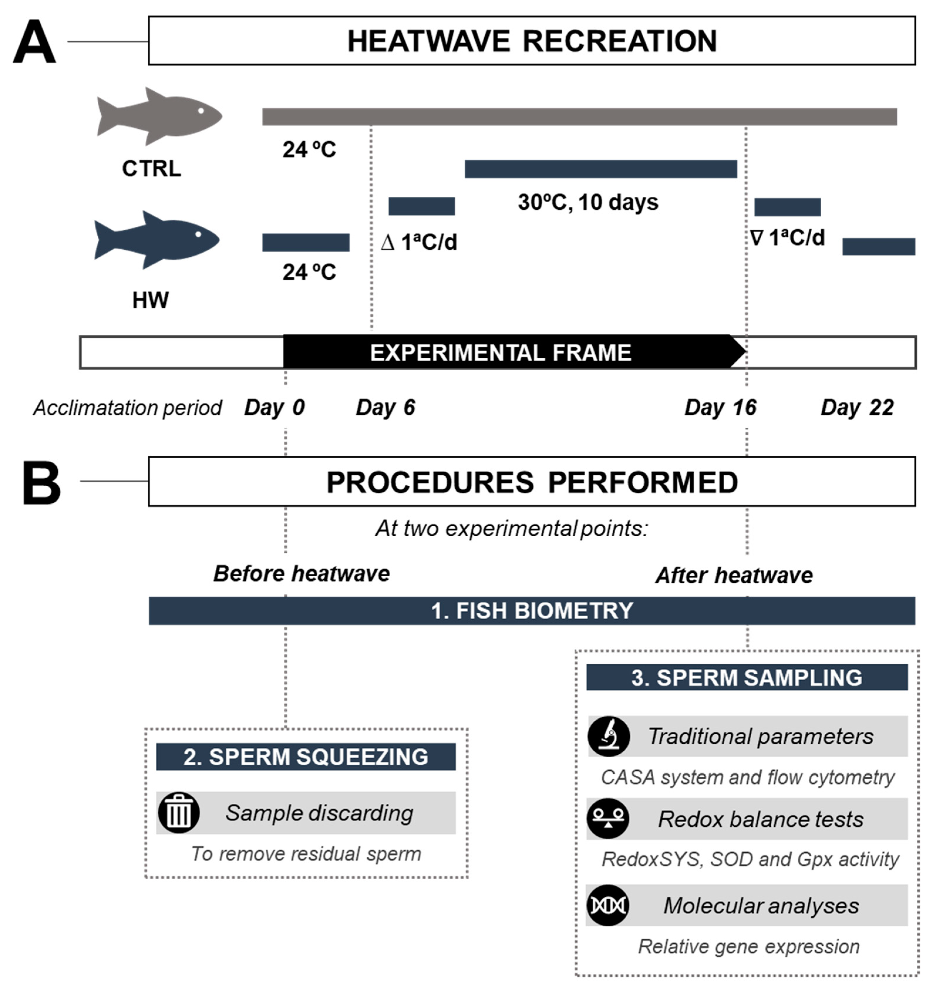 Animals 14 00778 g001