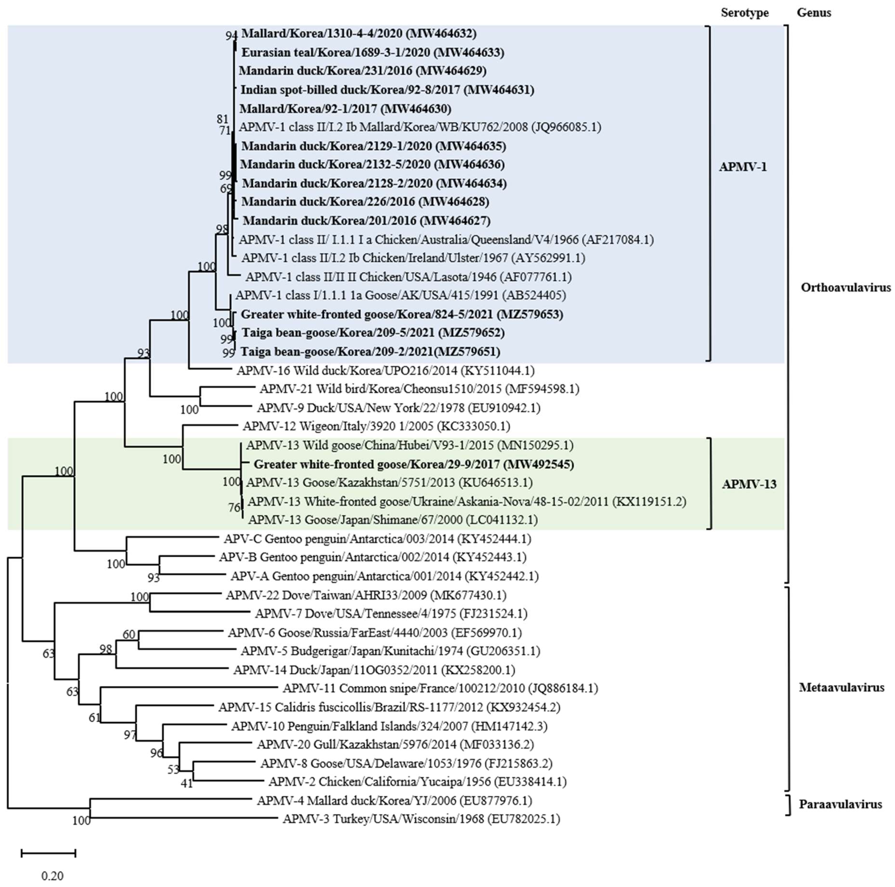 Animals 14 00780 g001 Animals 14 00780 g001