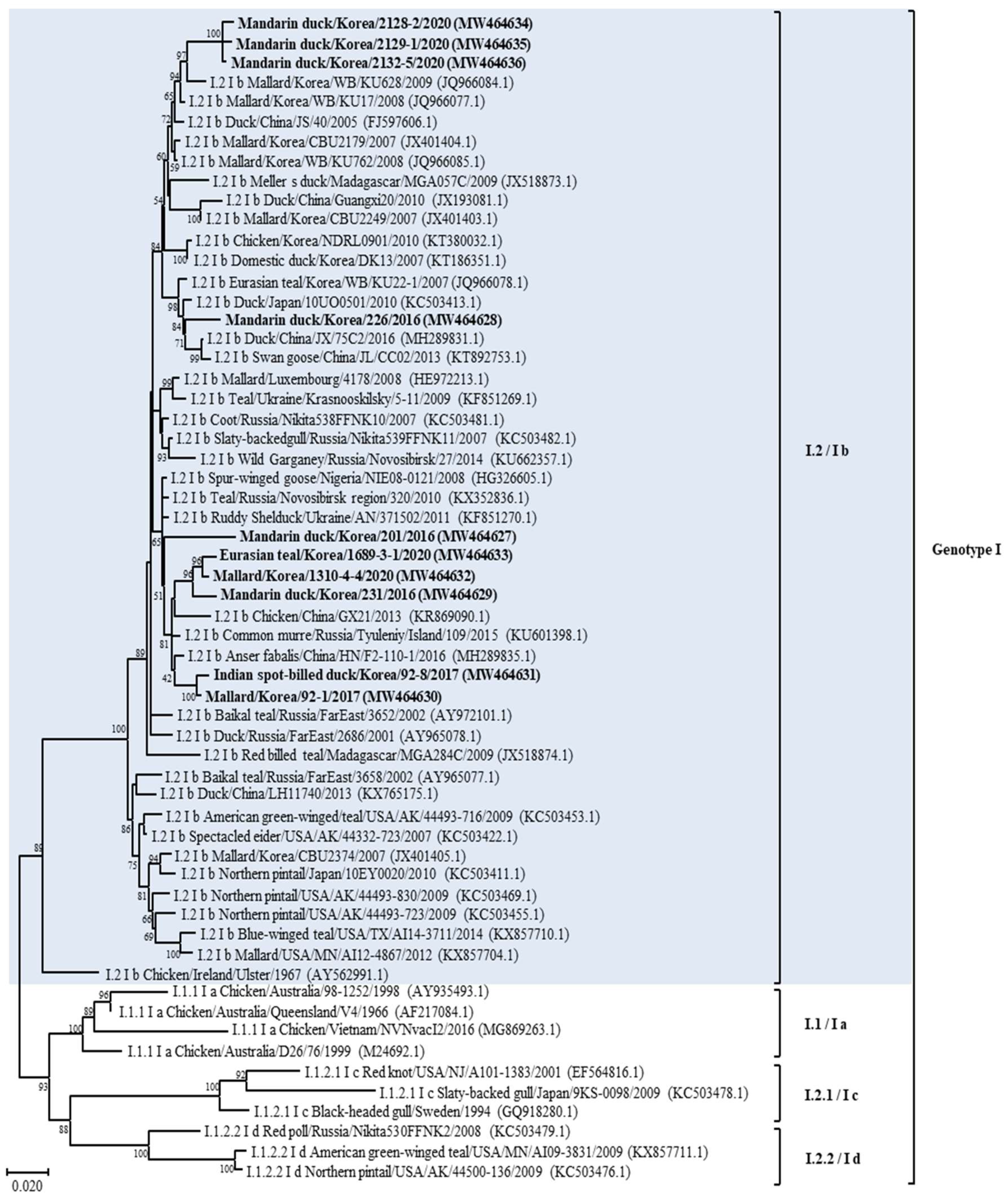 Animals 14 00780 g002 Animals 14 00780 g002