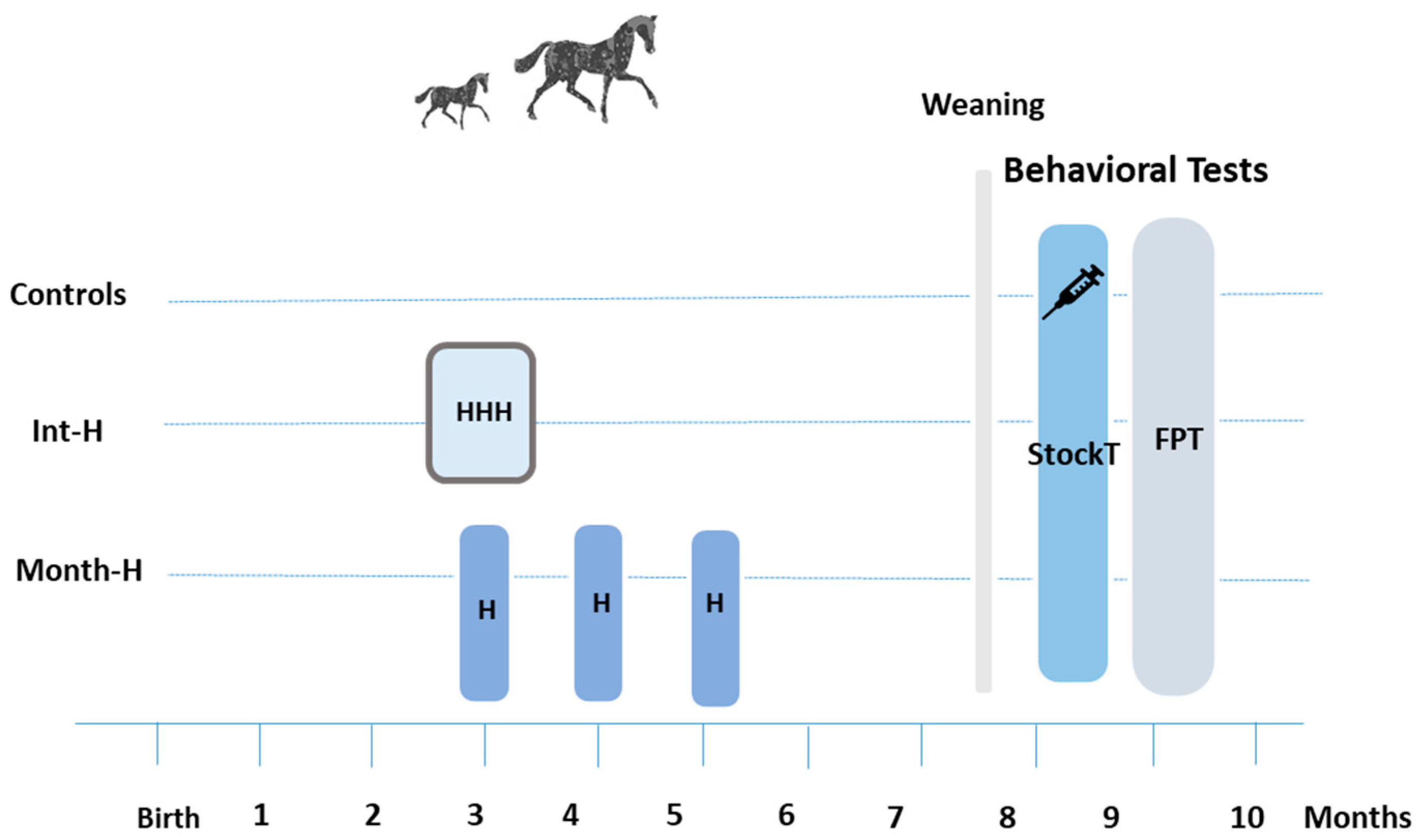 Animals 14 00784 g001