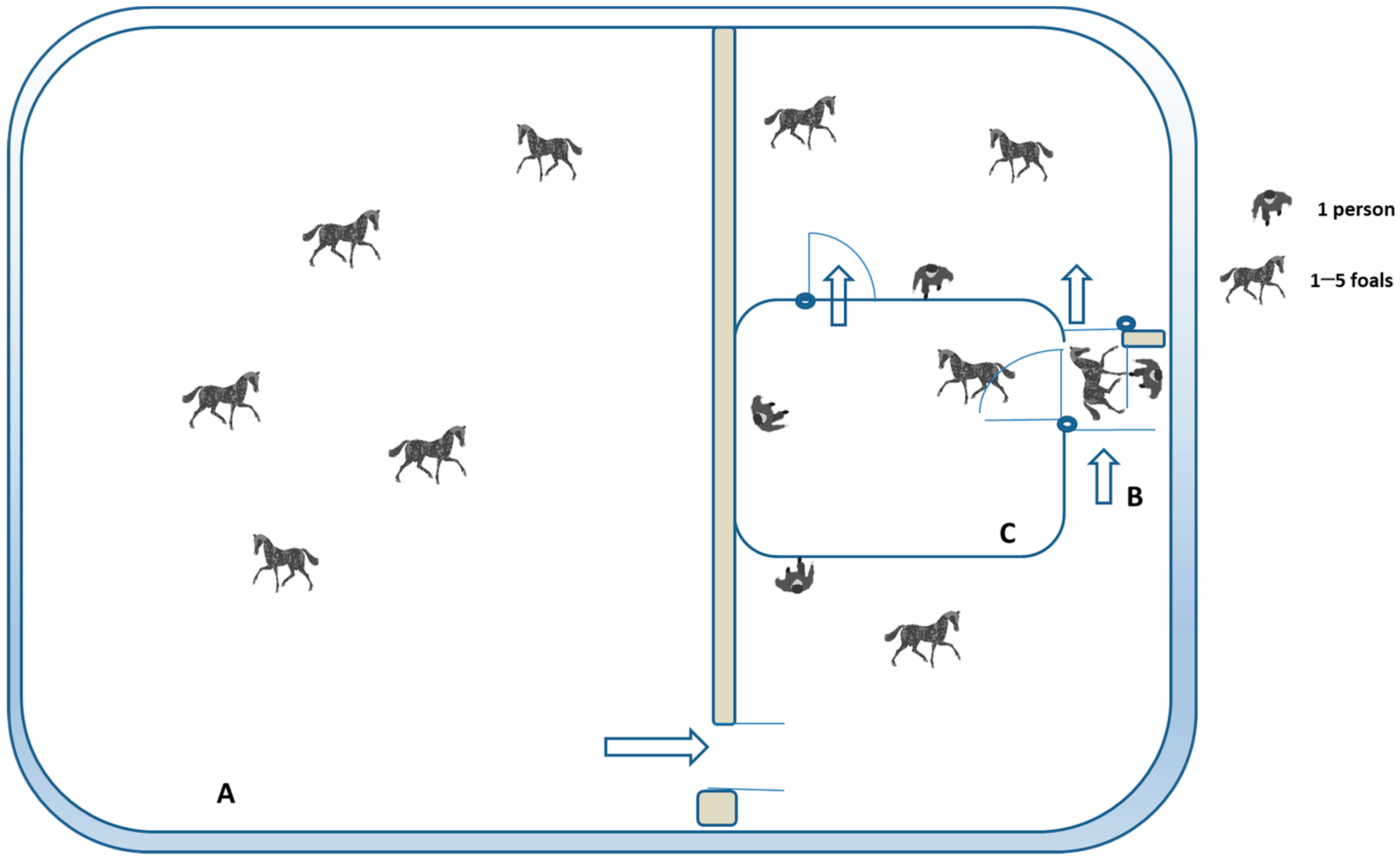 Animals 14 00784 g002