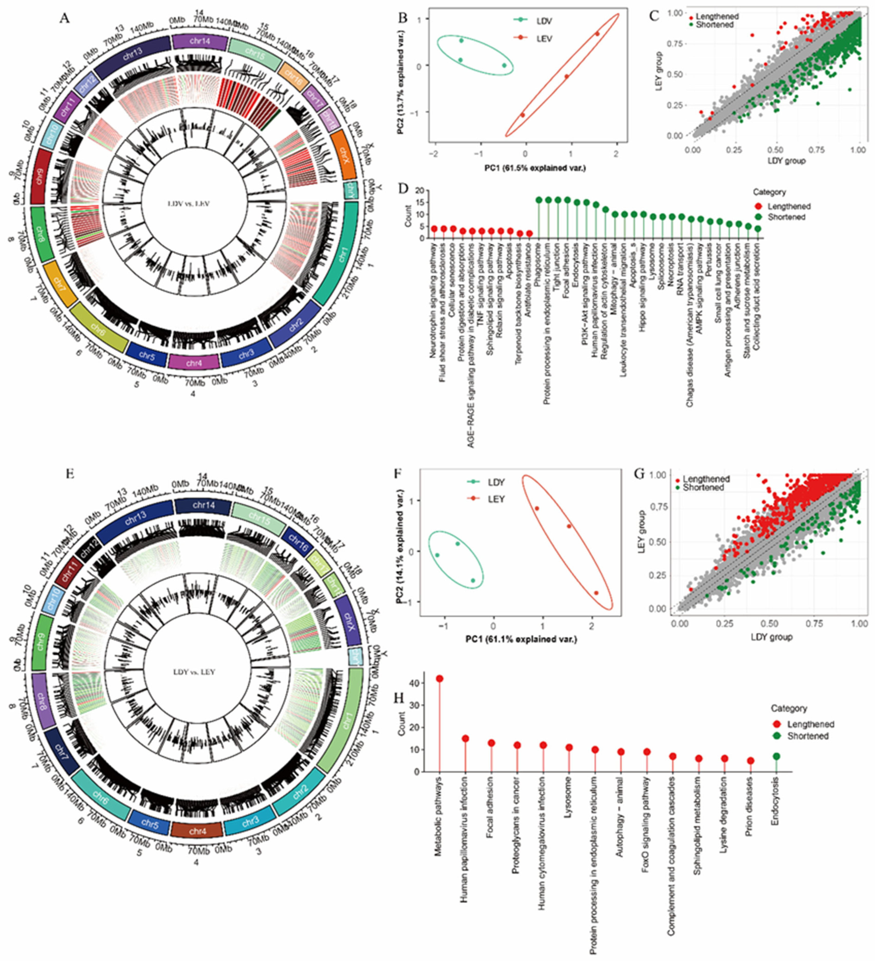 Animals 14 00791 g003 Animals 14 00791 g003