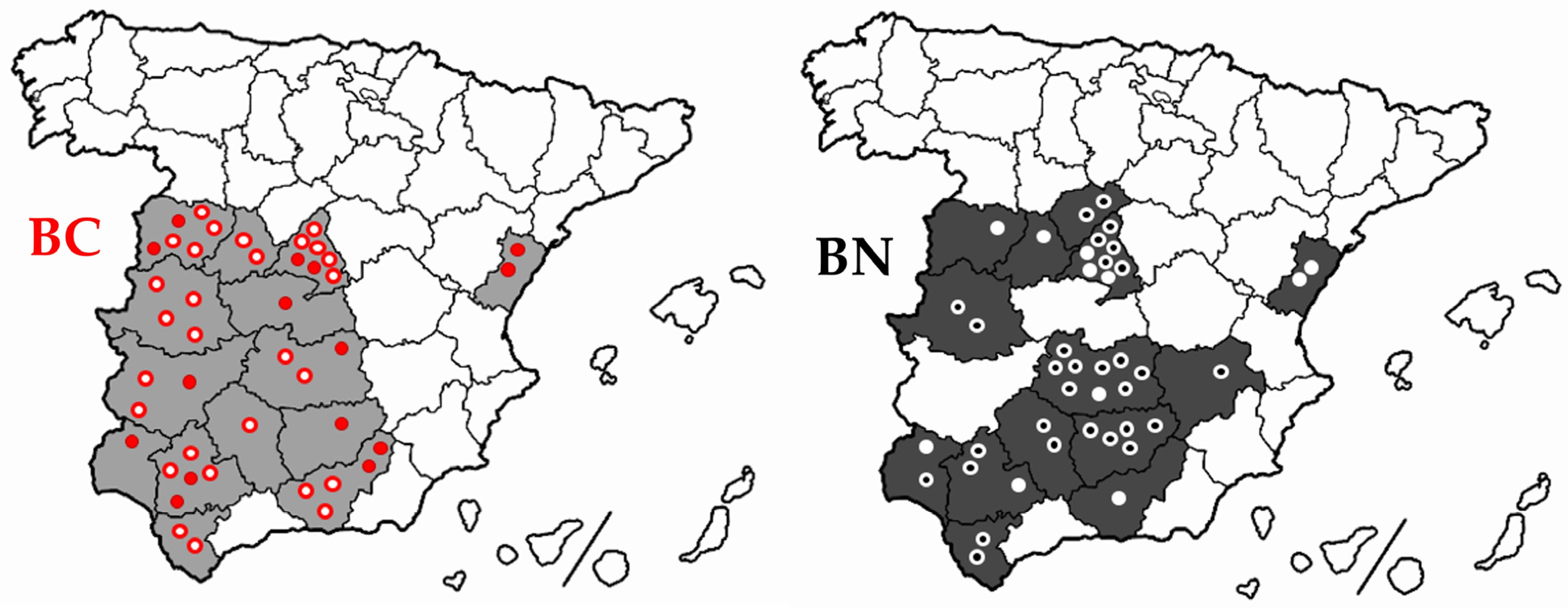 Animals 14 00793 g002