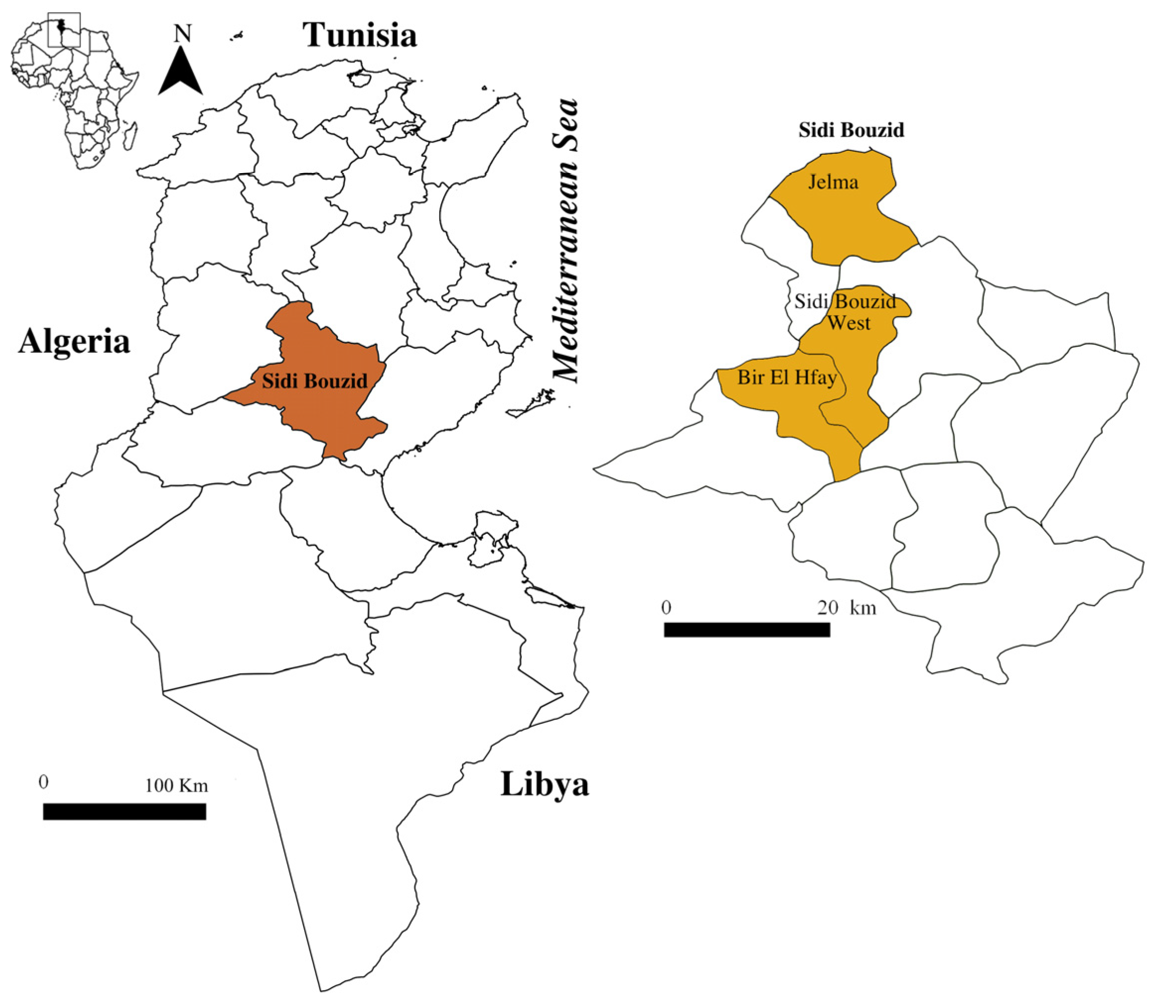 Animals 14 00801 g001