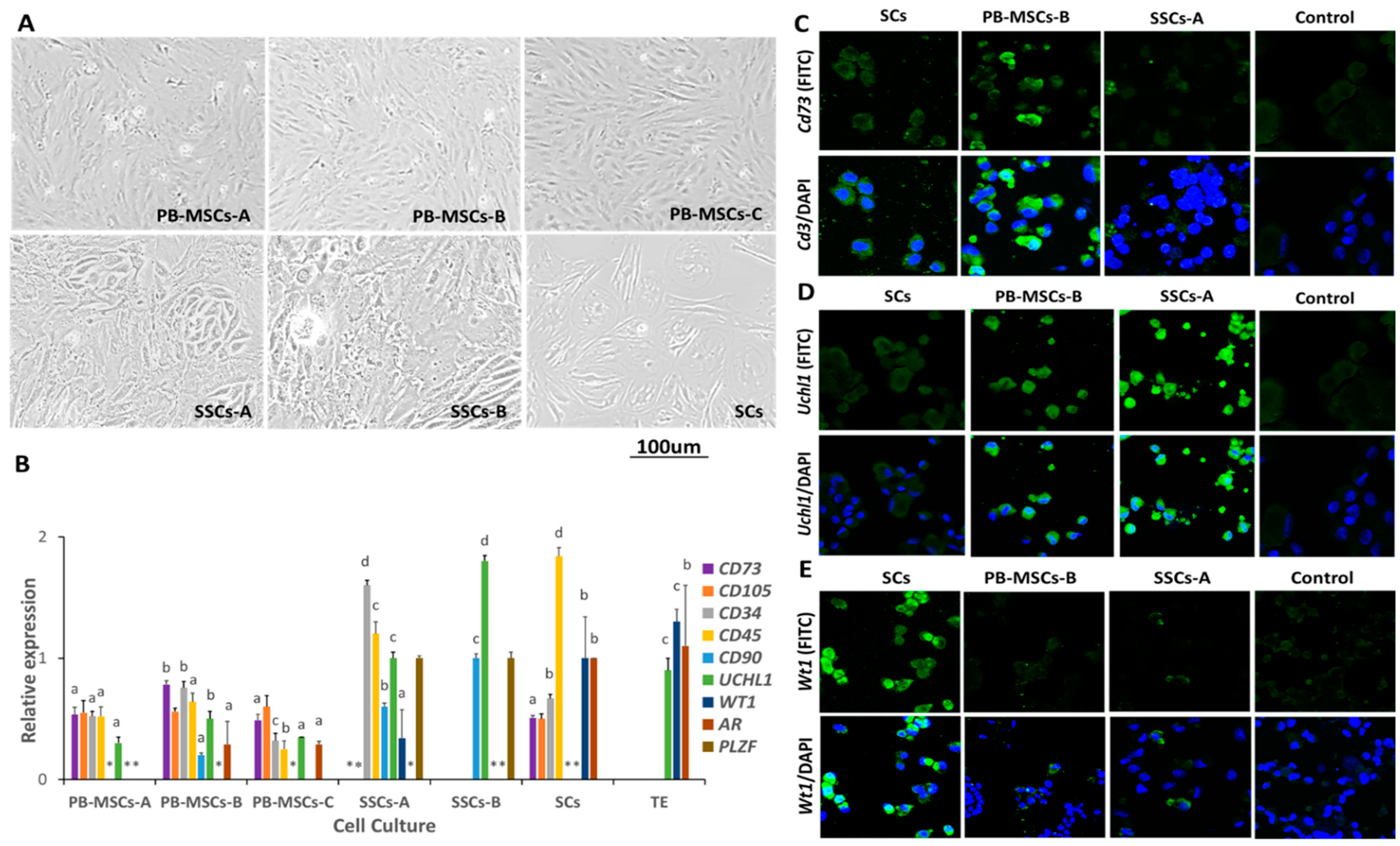 Animals 14 00803 g002 Animals 14 00803 g002