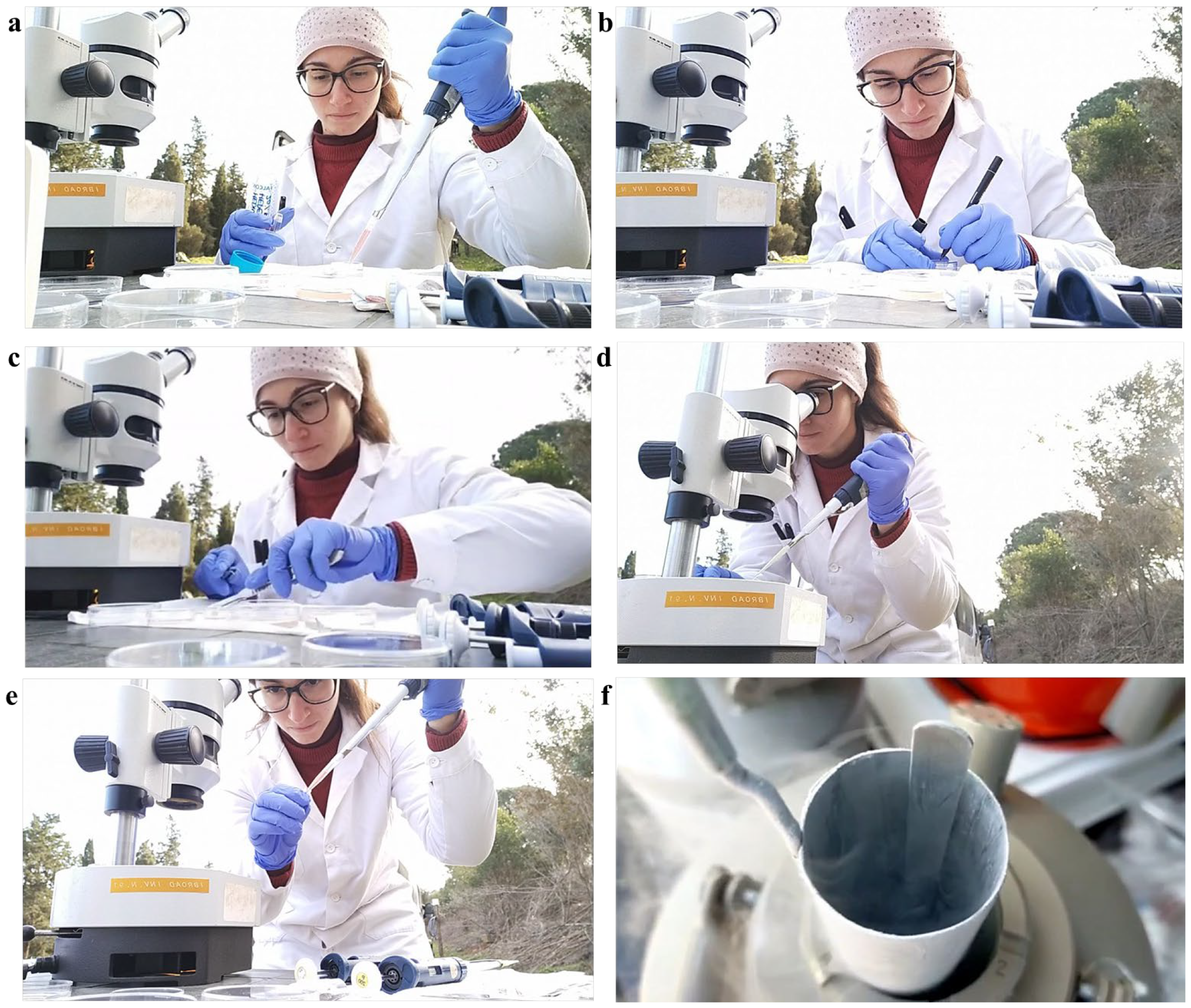 Animals 14 00807 g003