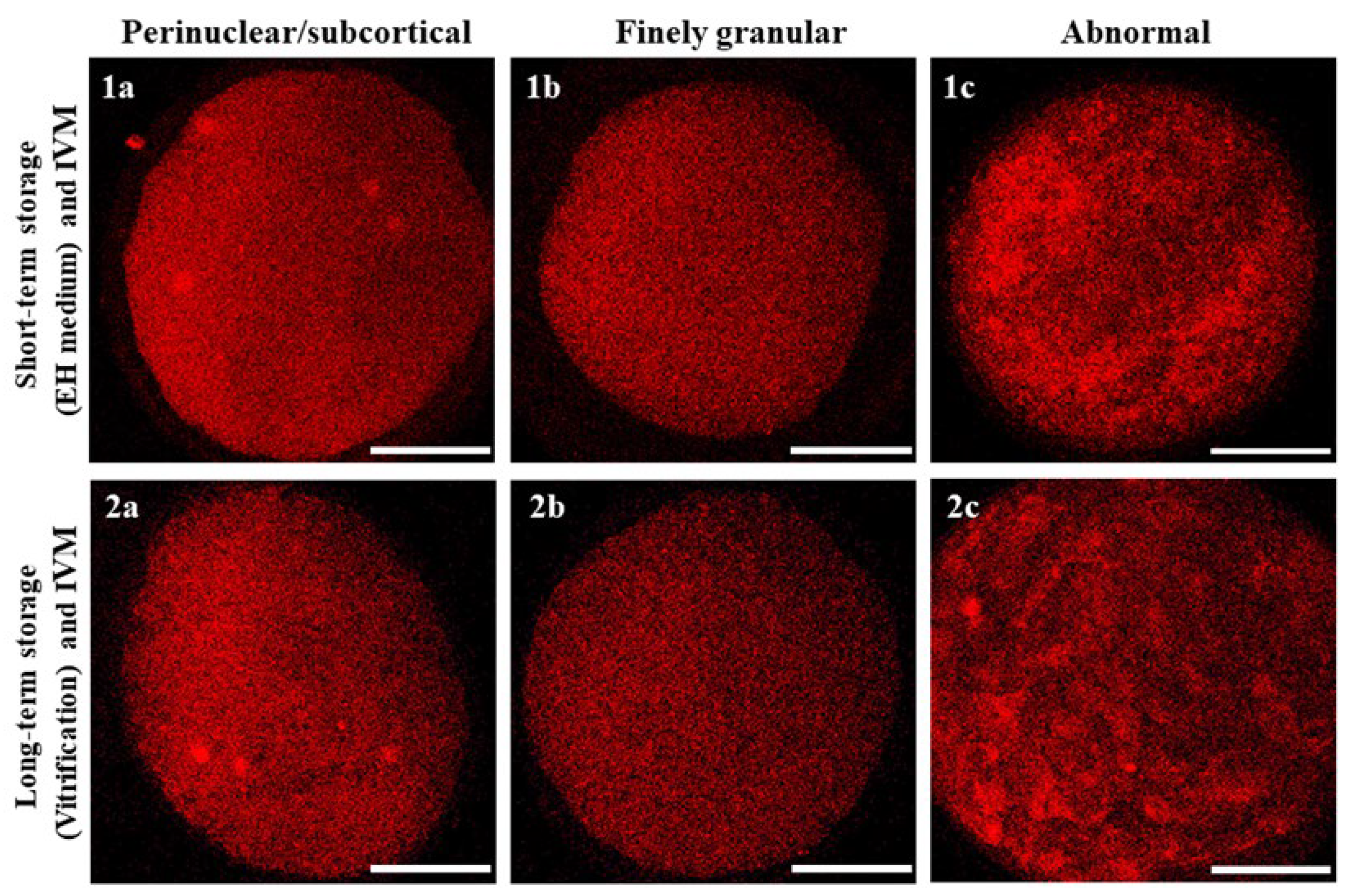 Animals 14 00807 g006