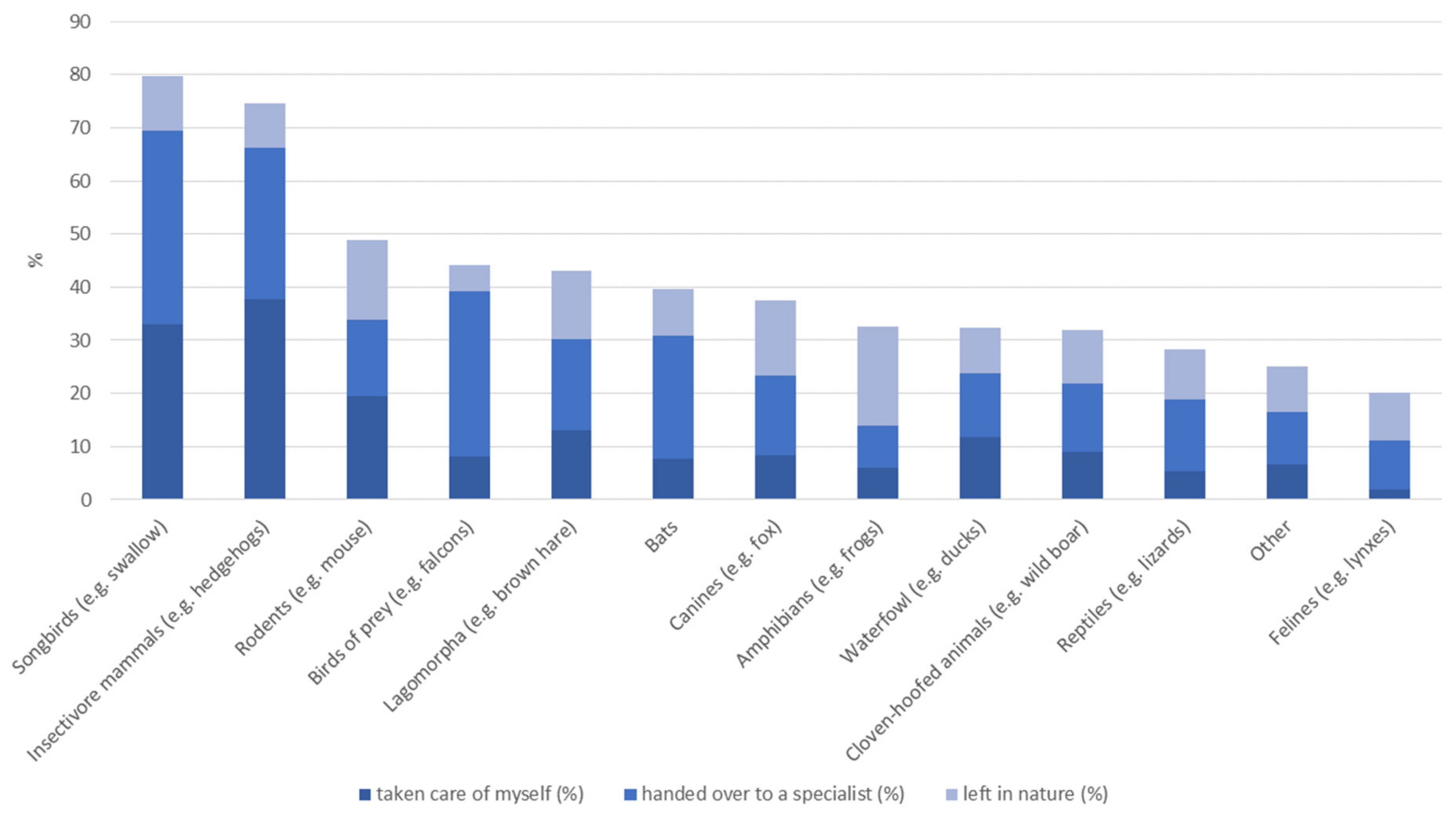 Animals 14 00808 g005