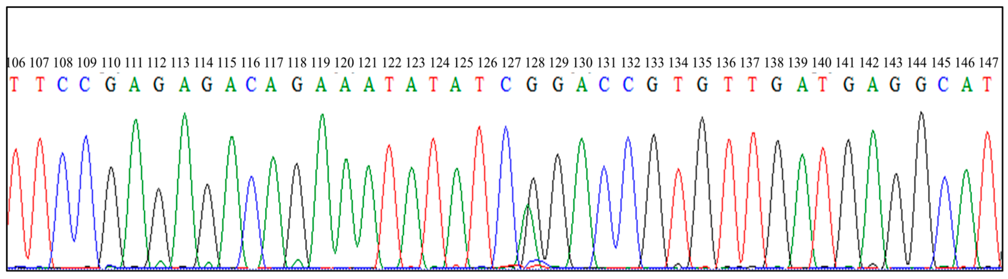Animals 14 00809 g003