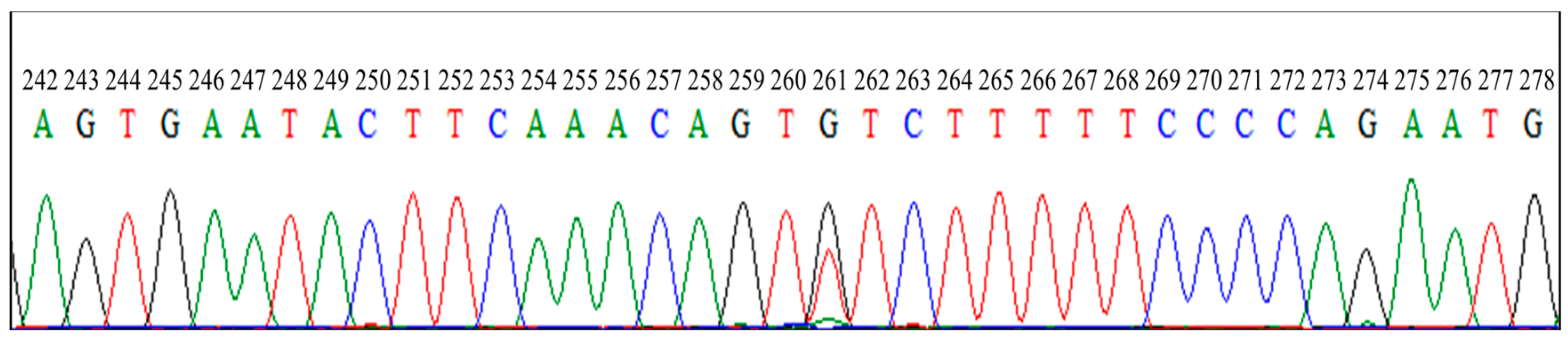 Animals 14 00809 g004