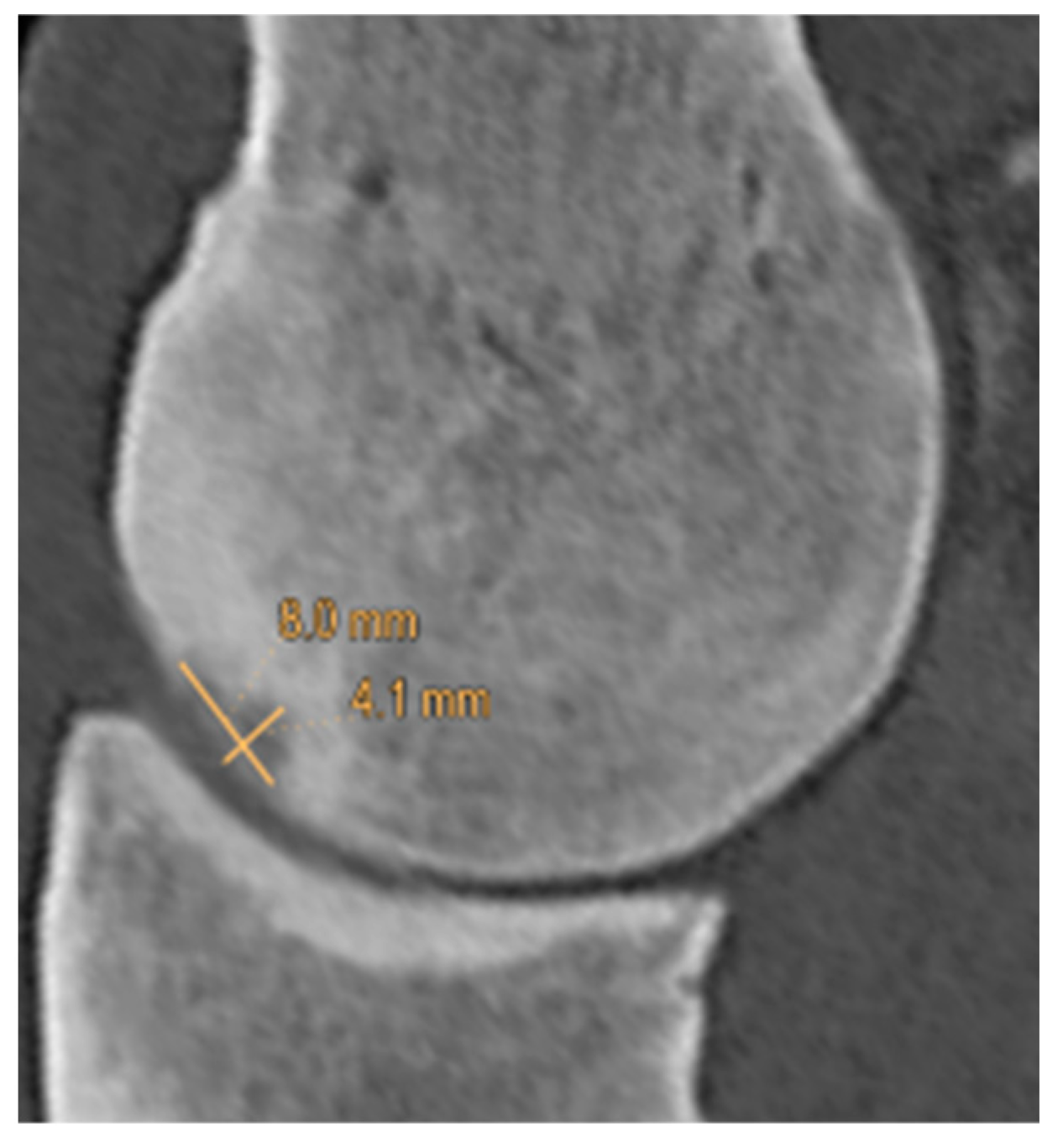 Animals 14 00812 g002 Animals 14 00812 g002