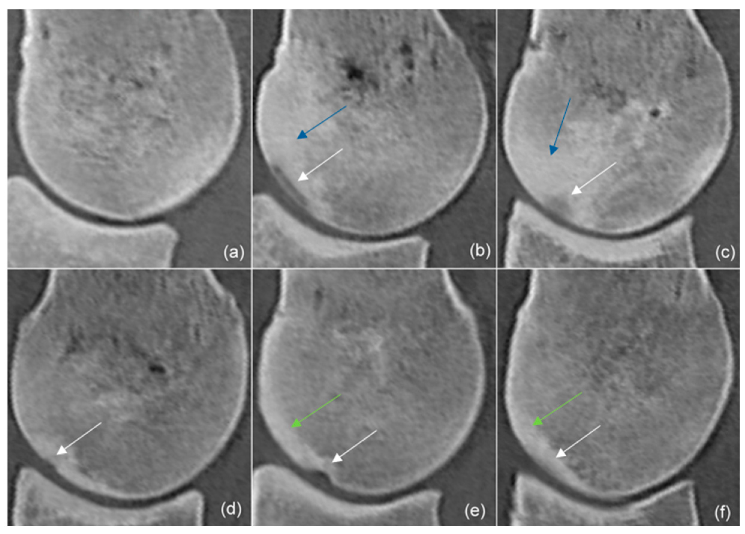 Animals 14 00812 g003 Animals 14 00812 g003